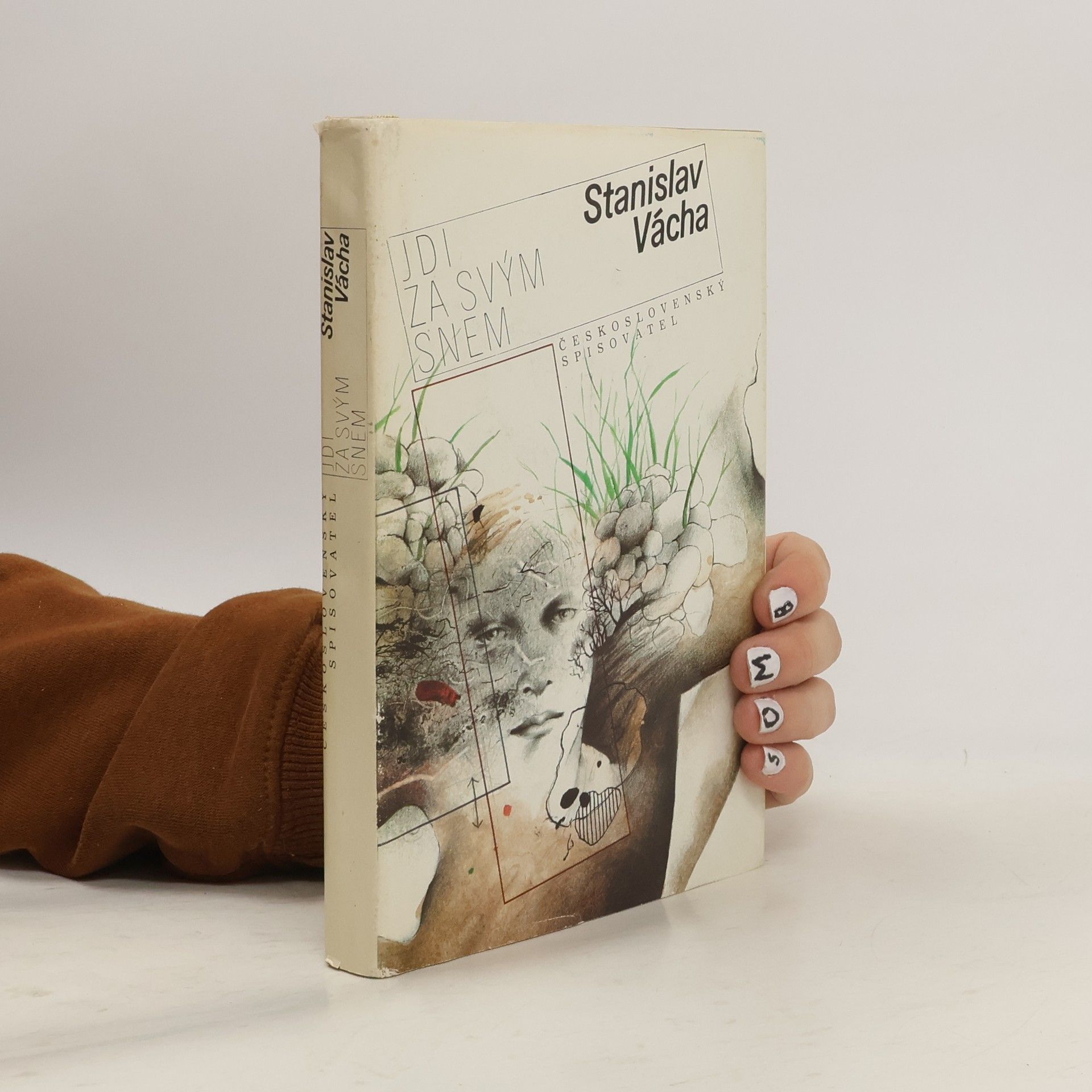 Stanislav Vácha Jdi za svým snem