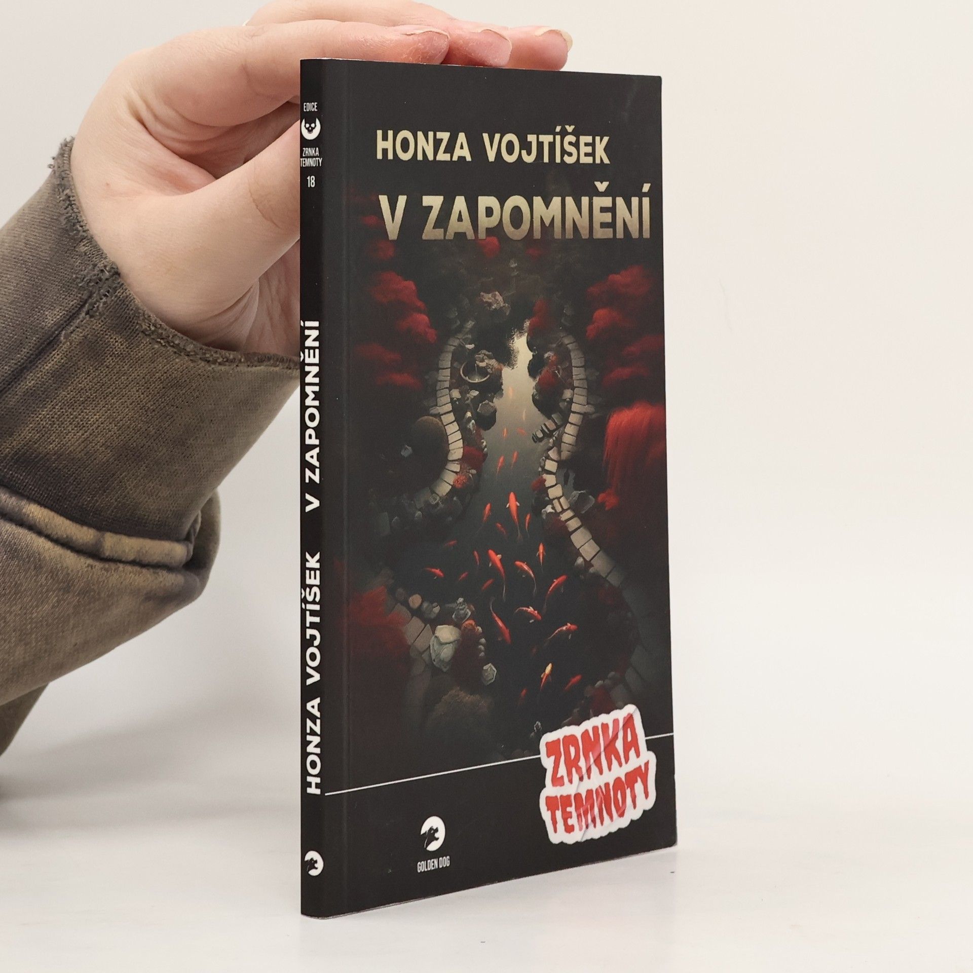 Honza Vojtíšek V zapomnění