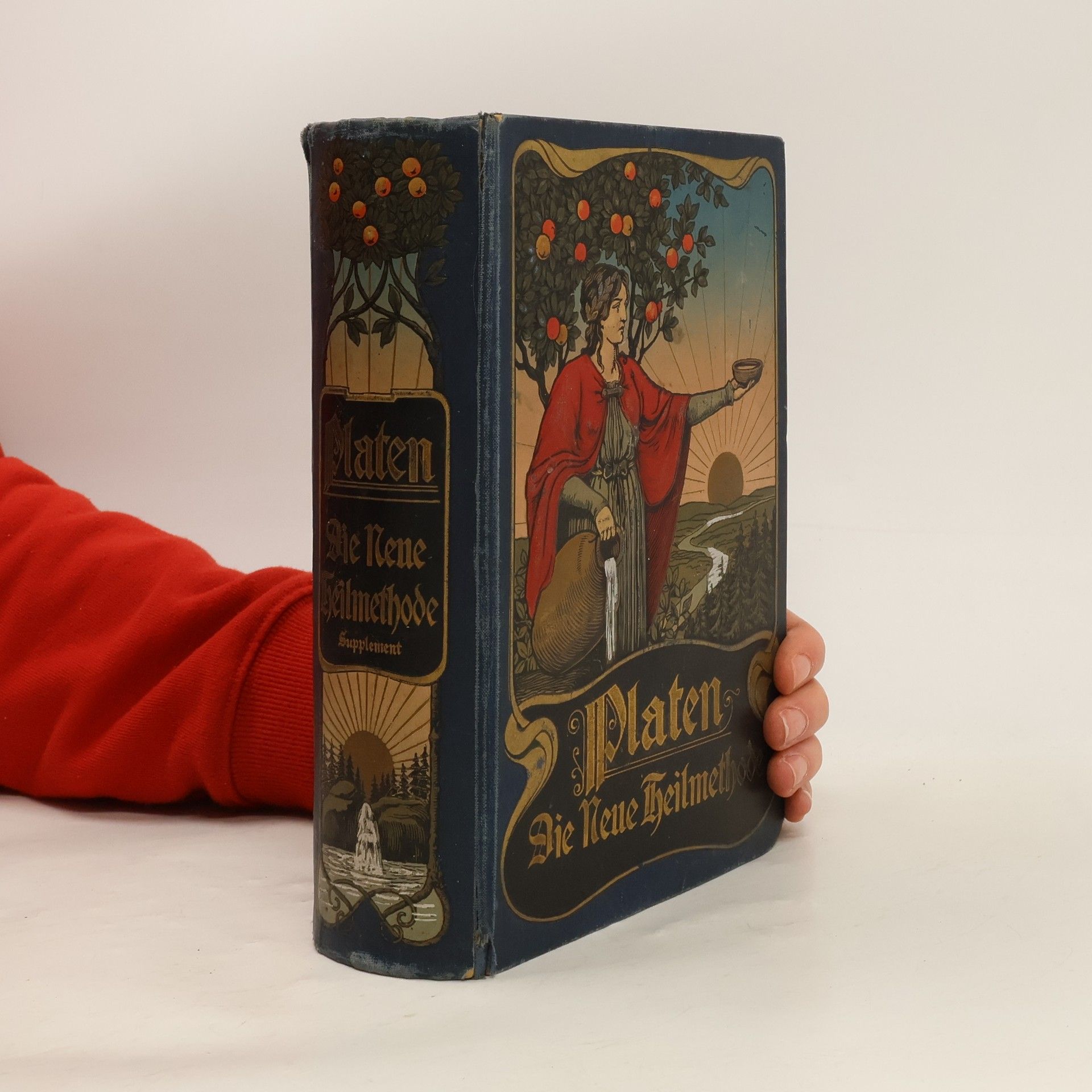 M. Platen Die Neue Heilmethode