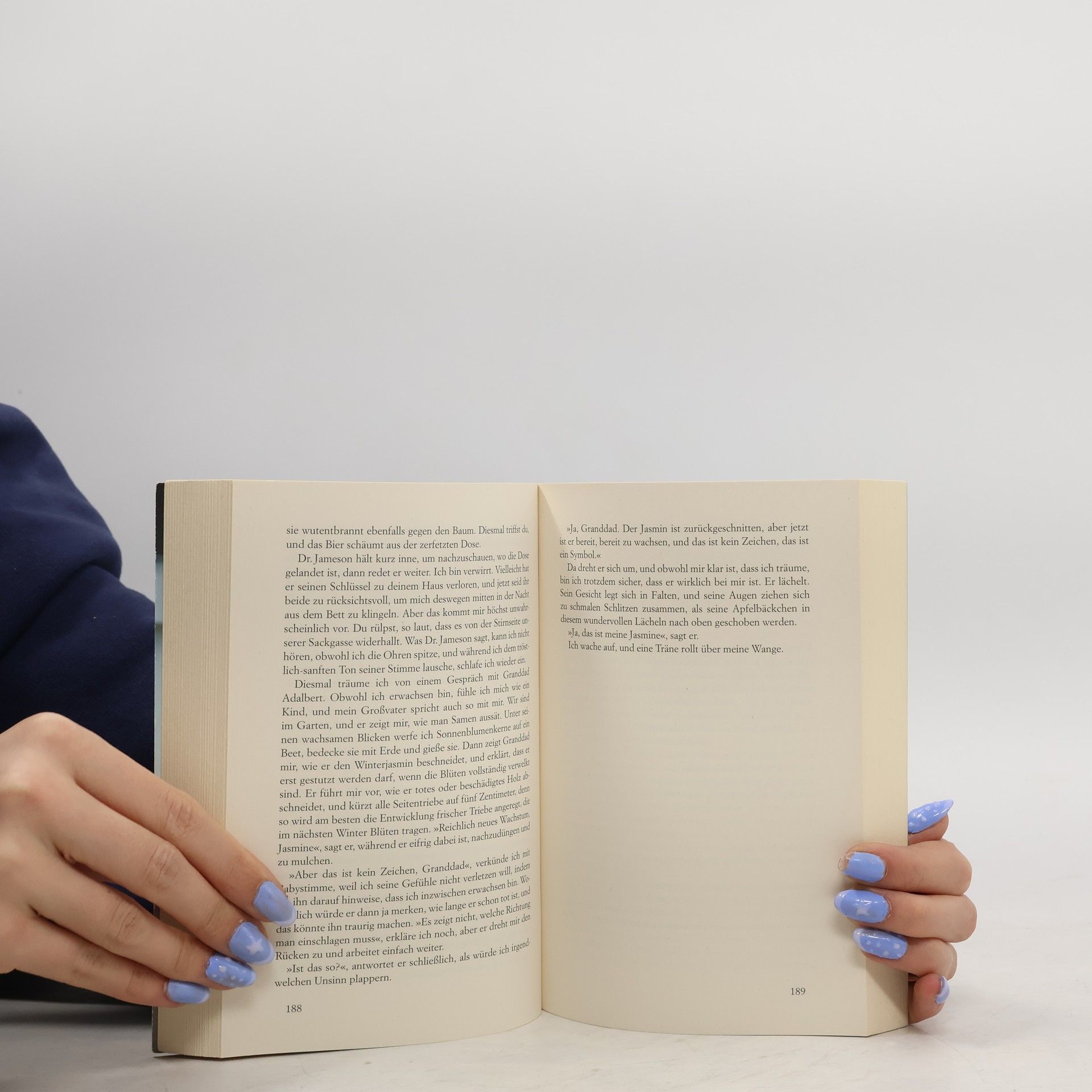 Cecelia Ahern Das Jahr, in dem ich dich traf