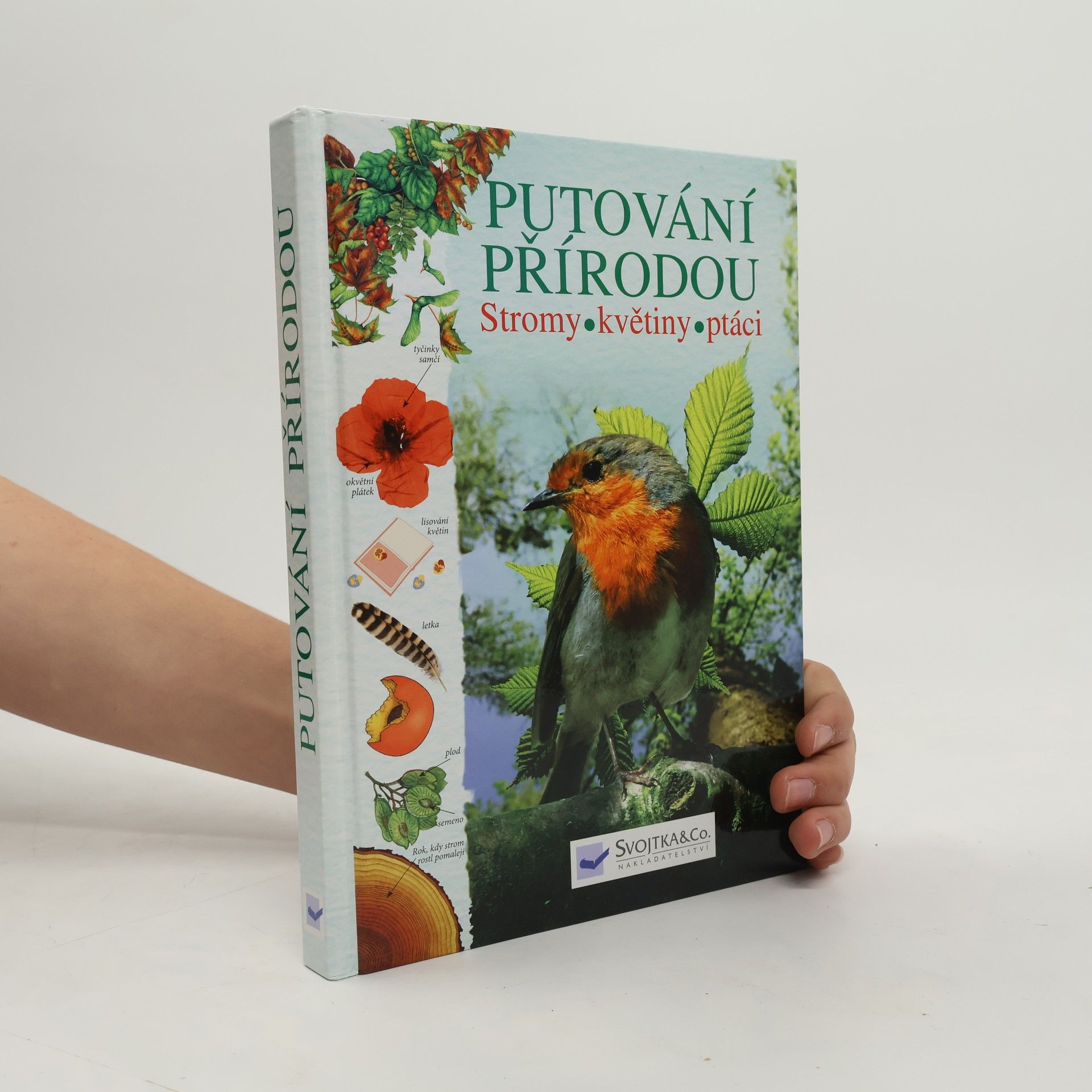 Kolektiv autorů Putování přírodou: Stromy, květiny, ptáci