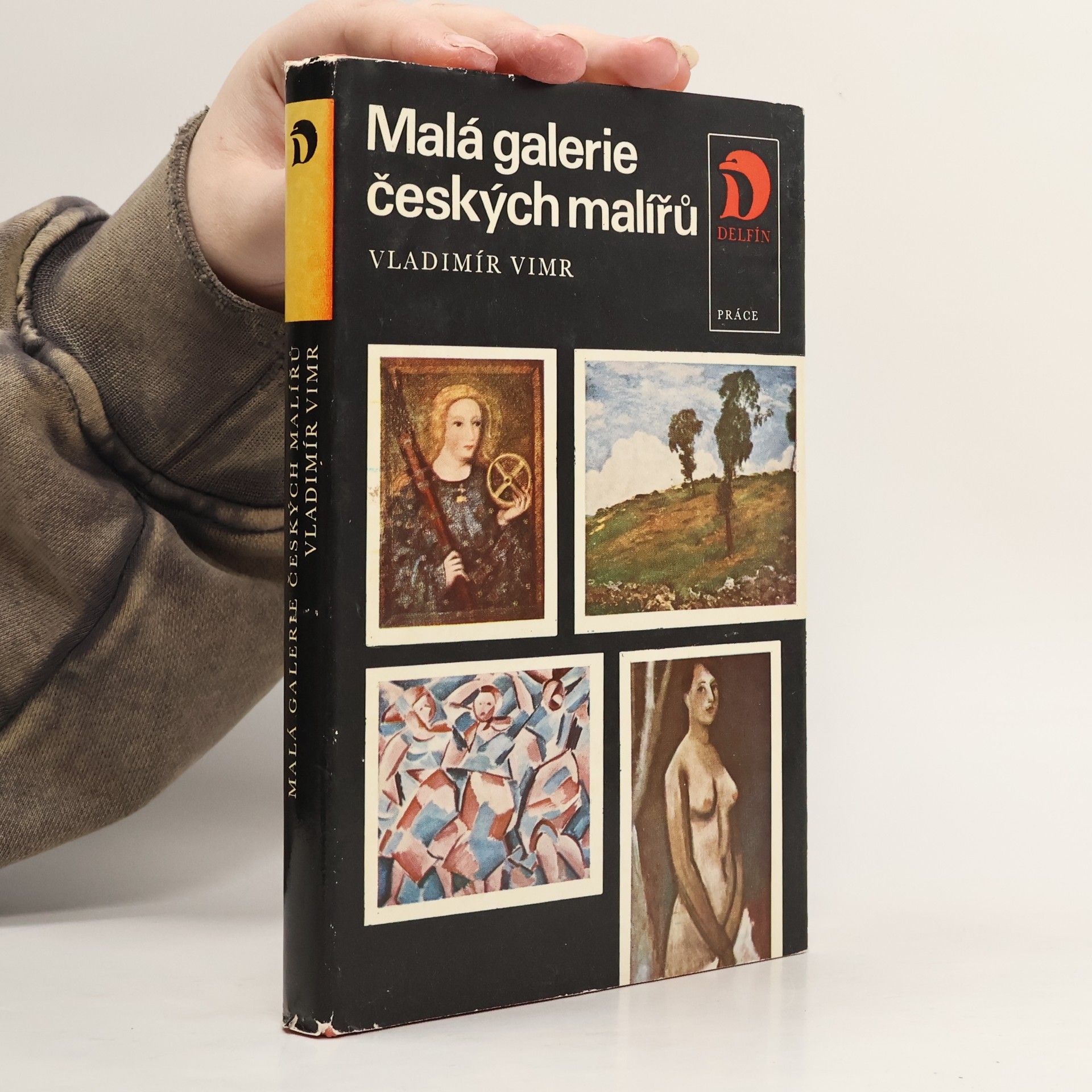 Vladimír Vimr Malá galerie českých malířů