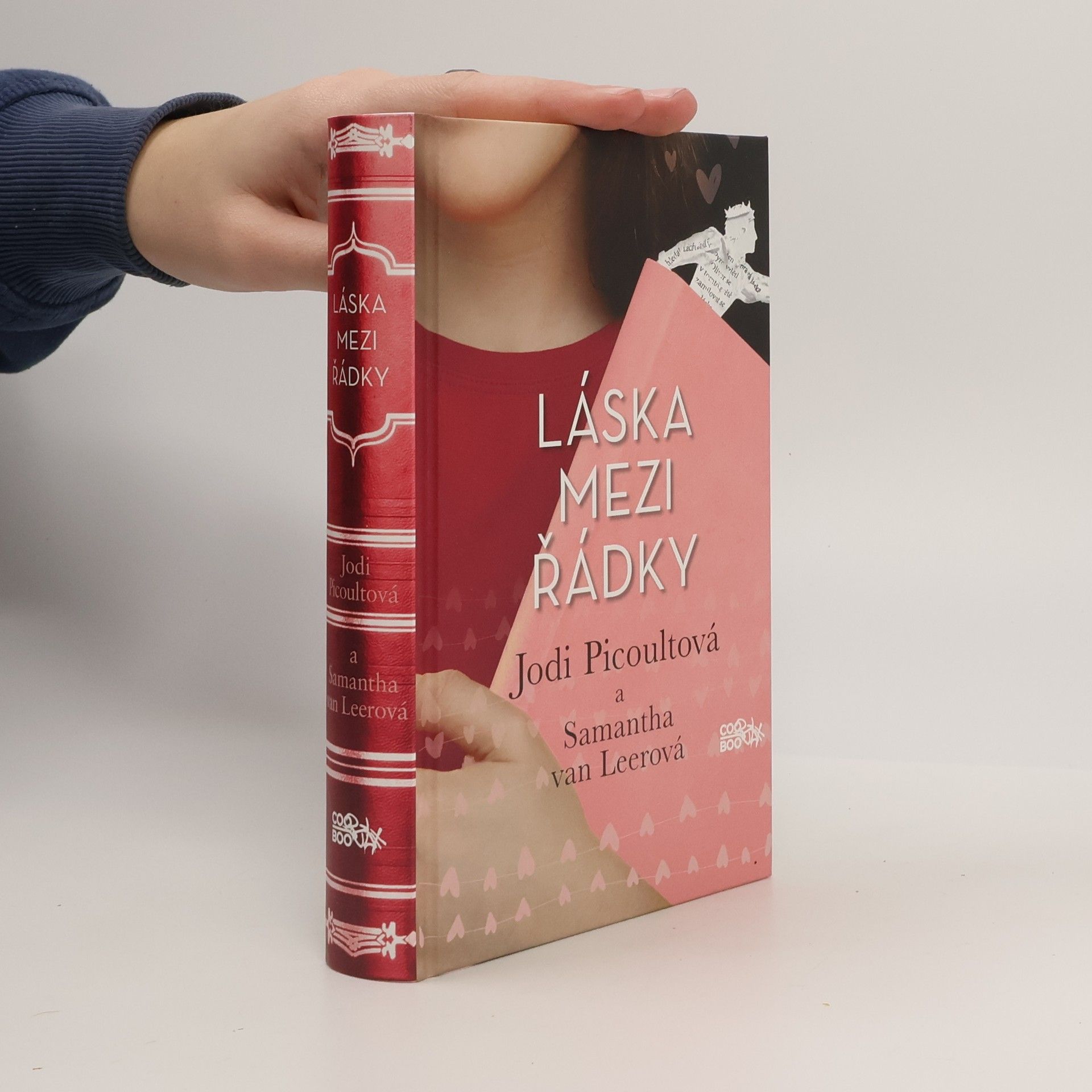 Jodi Picoult Láska mezi řádky