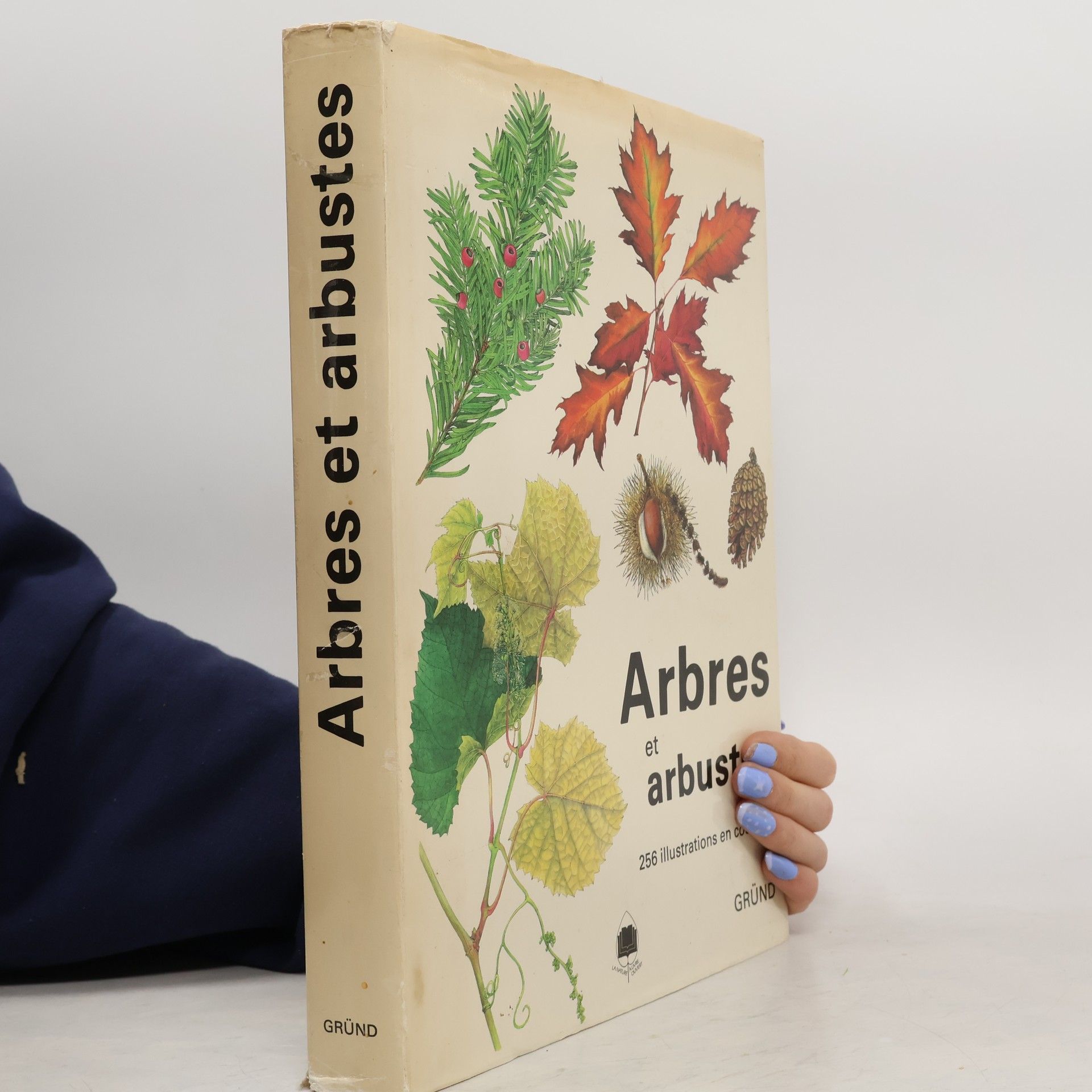 Václav Větvička Arbres et arbustes