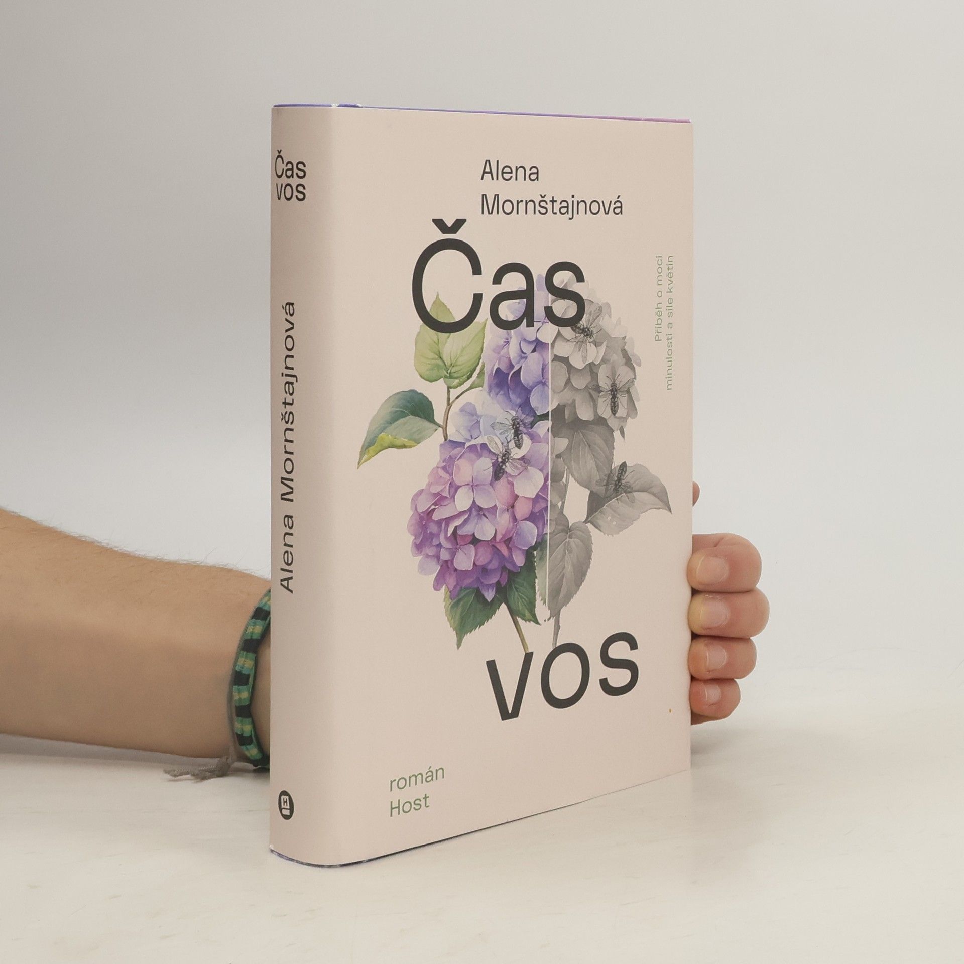 Alena Mornštajnová Čas vos