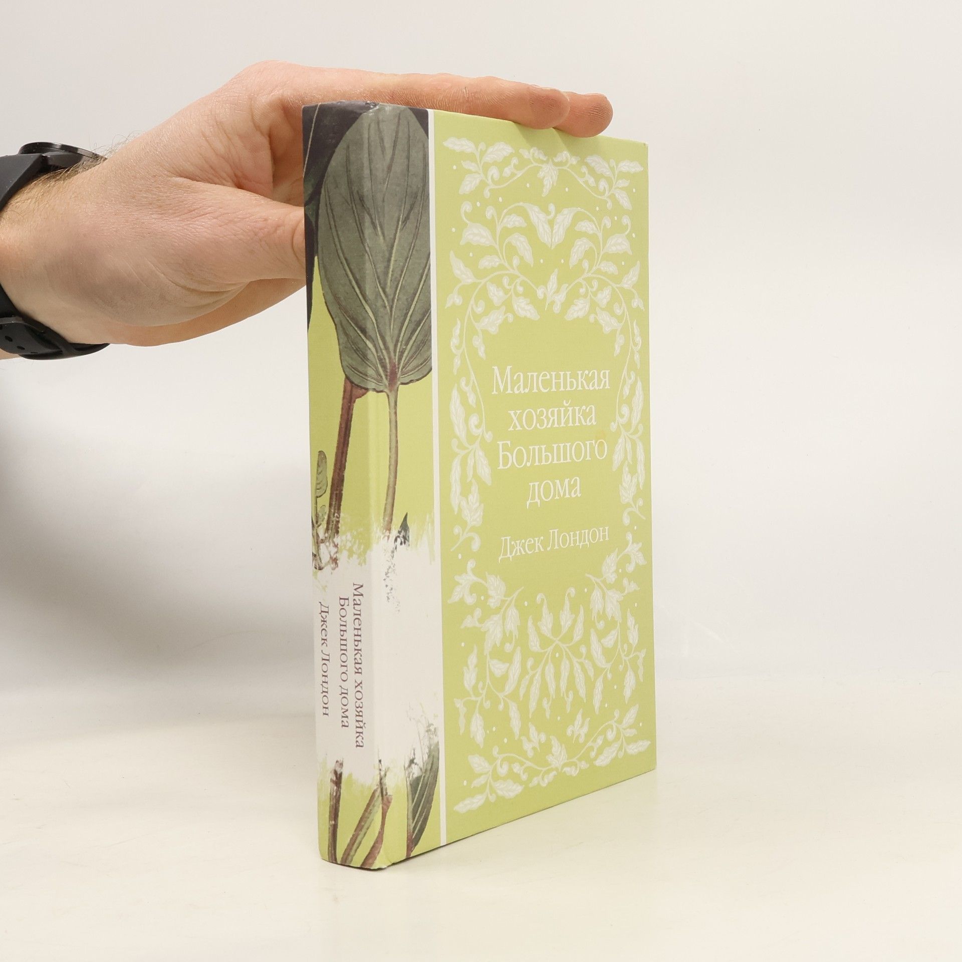 Jack London Маленькая хозяйка Большого дома