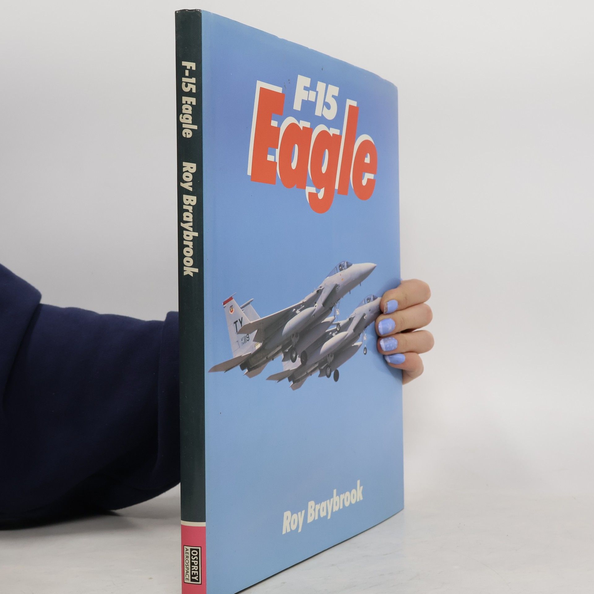 Roy Braybrook F-15 Eagle