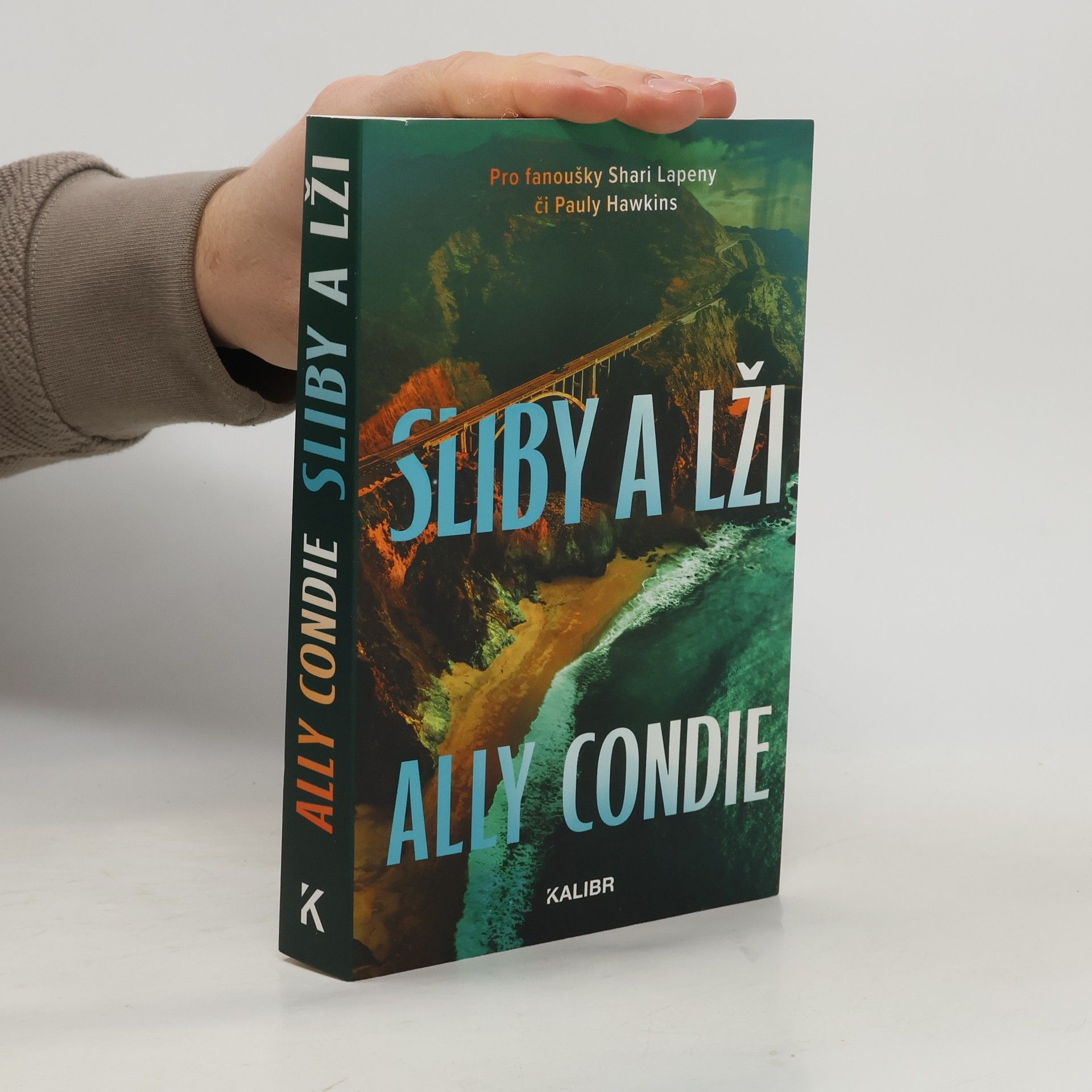 Allyson Braithwaite Condie Sliby a lži