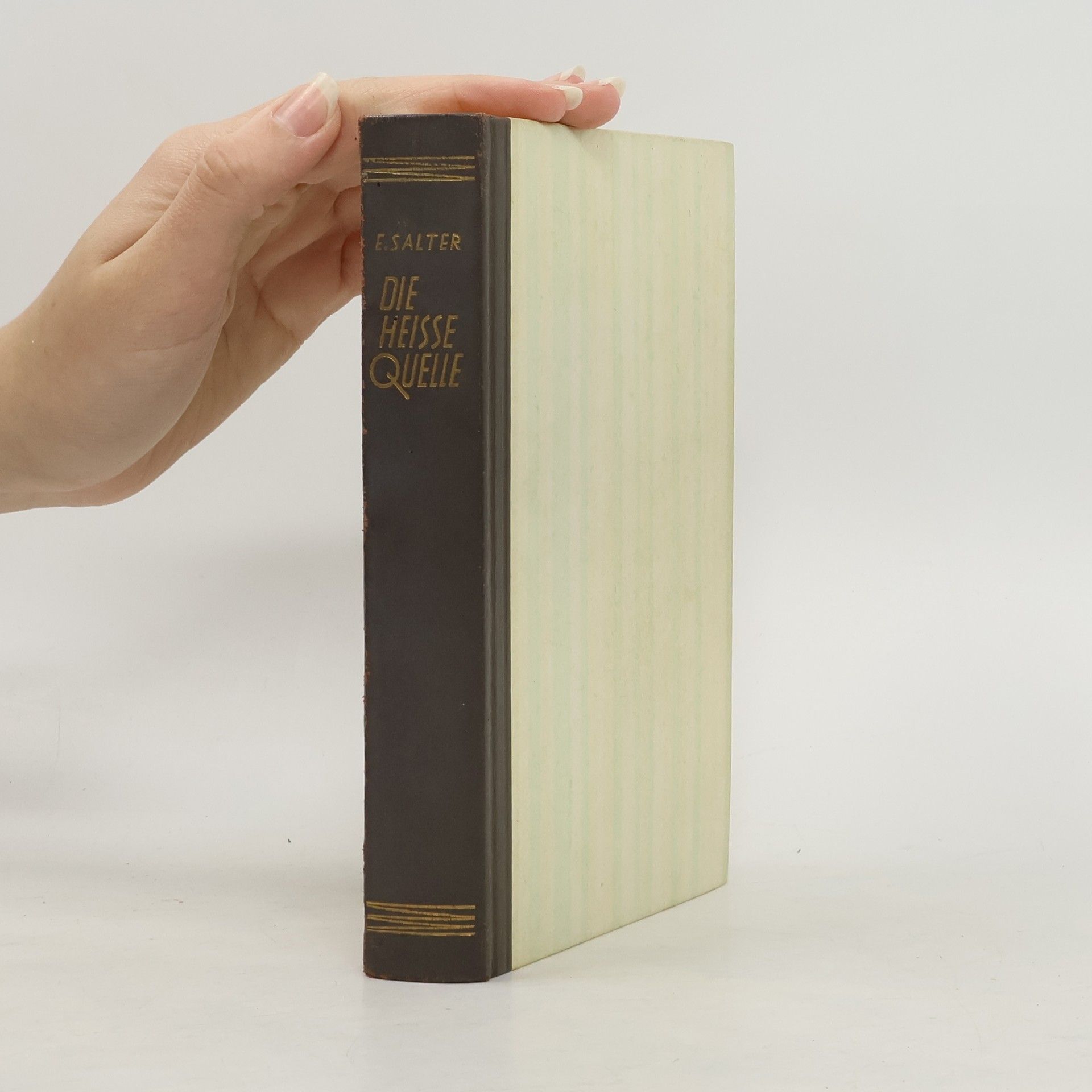 Elizabeth Salter Die Heisse Quelle