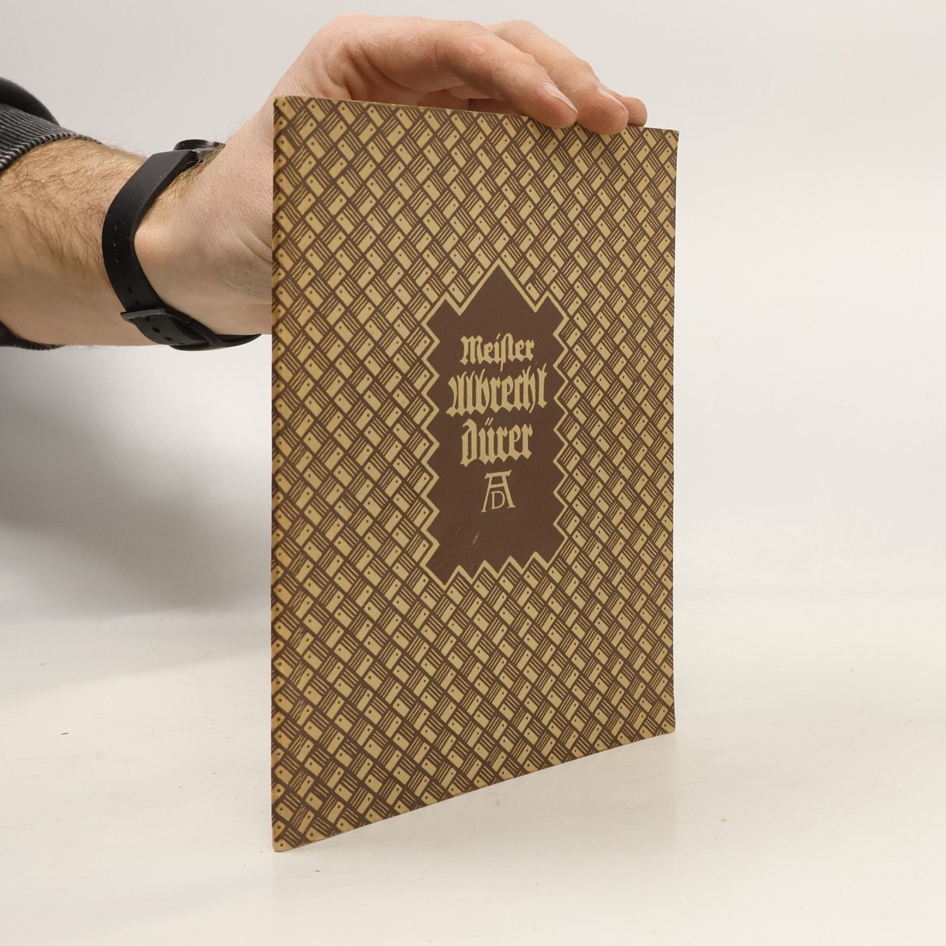 Albrecht Dürer Meister Albrecht Dürer. Gemälde und Handzeichnungen