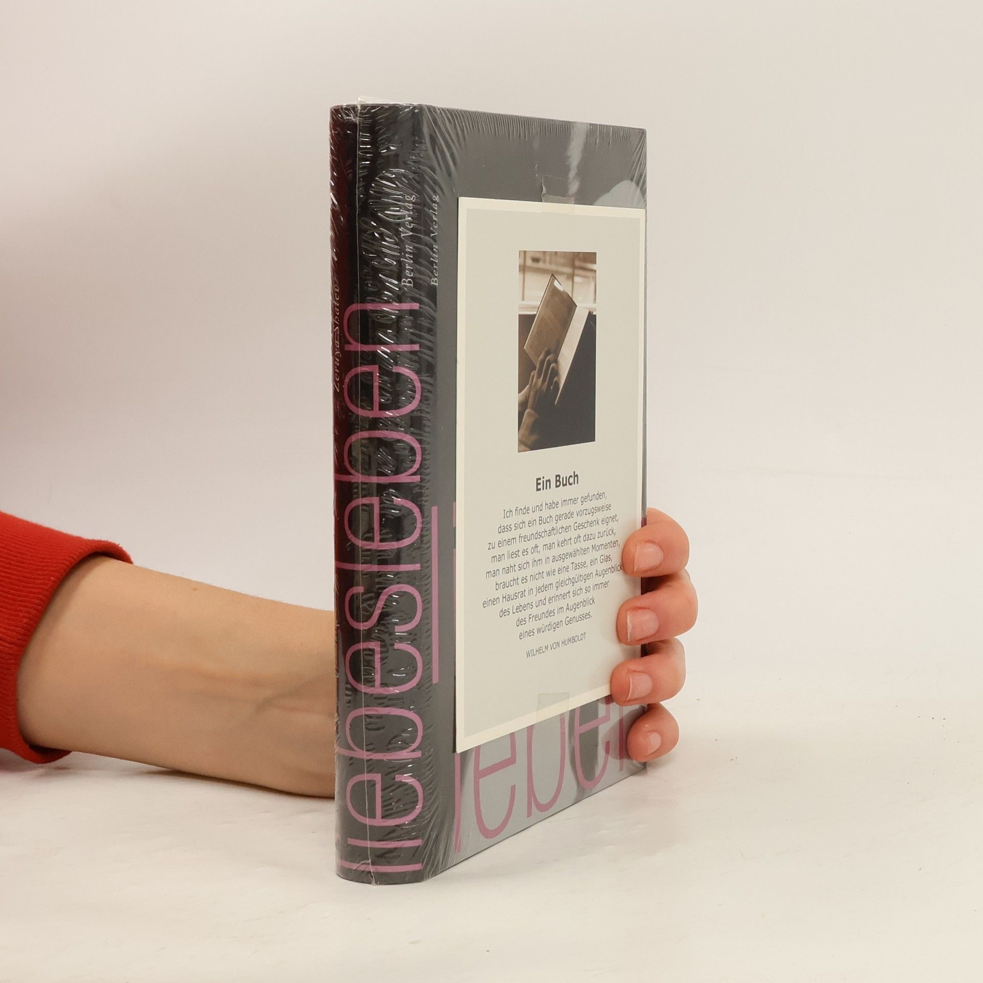 Zeruya Shalev Liebesleben