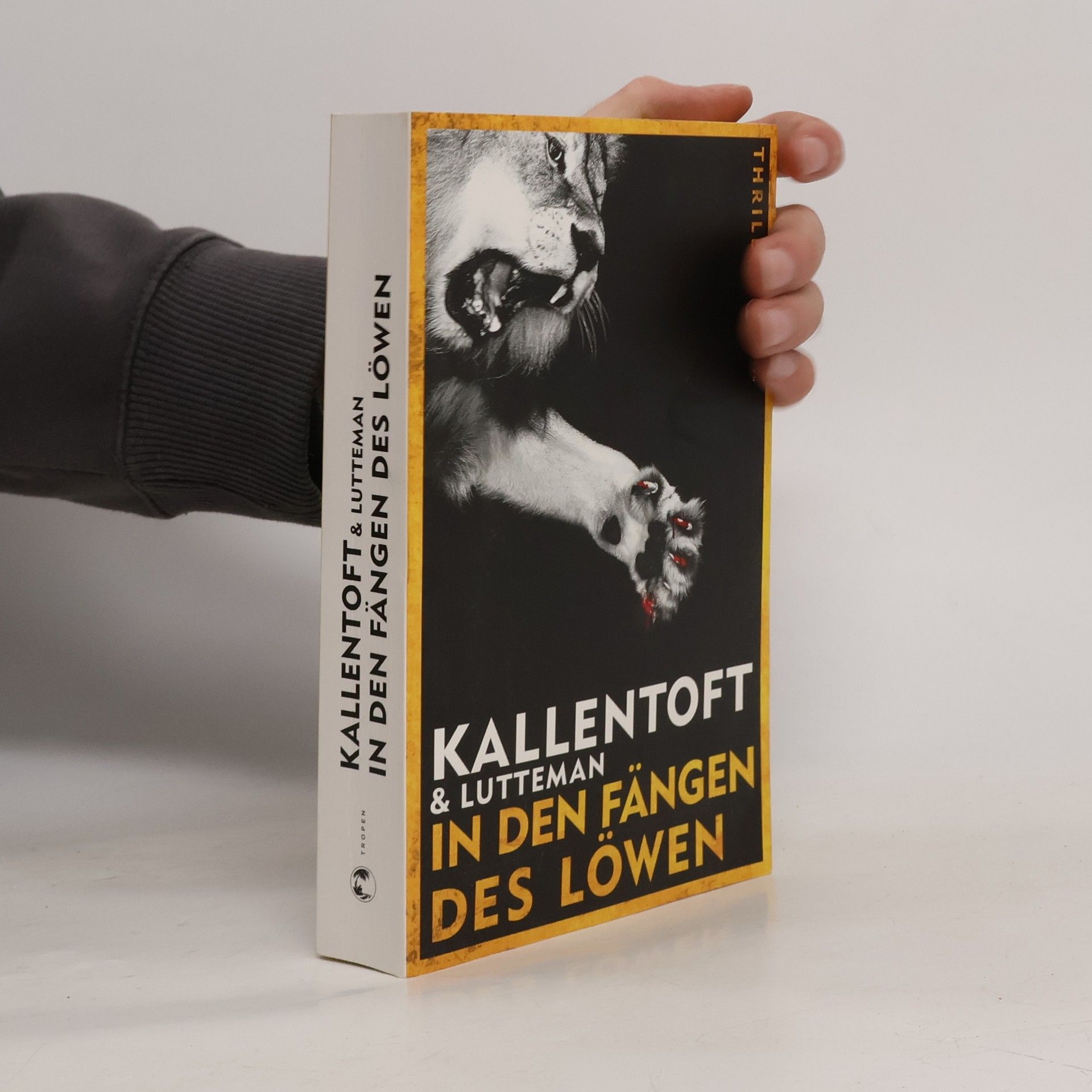 Mons Kallentoft In den Fängen des Löwen