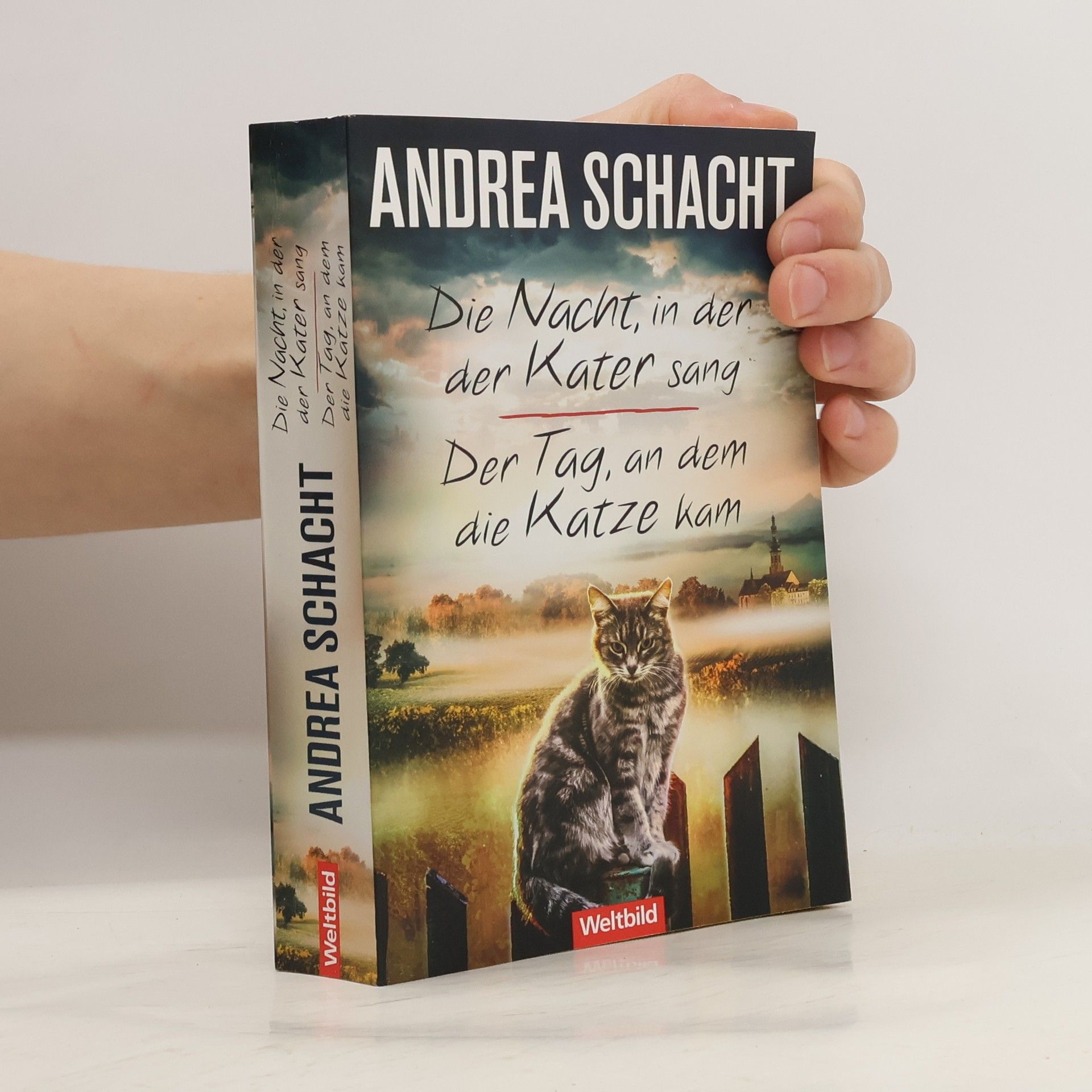 Andrea Schacht Die Nacht, in der der Kater sang/"Der Tag, an dem die Katze kam