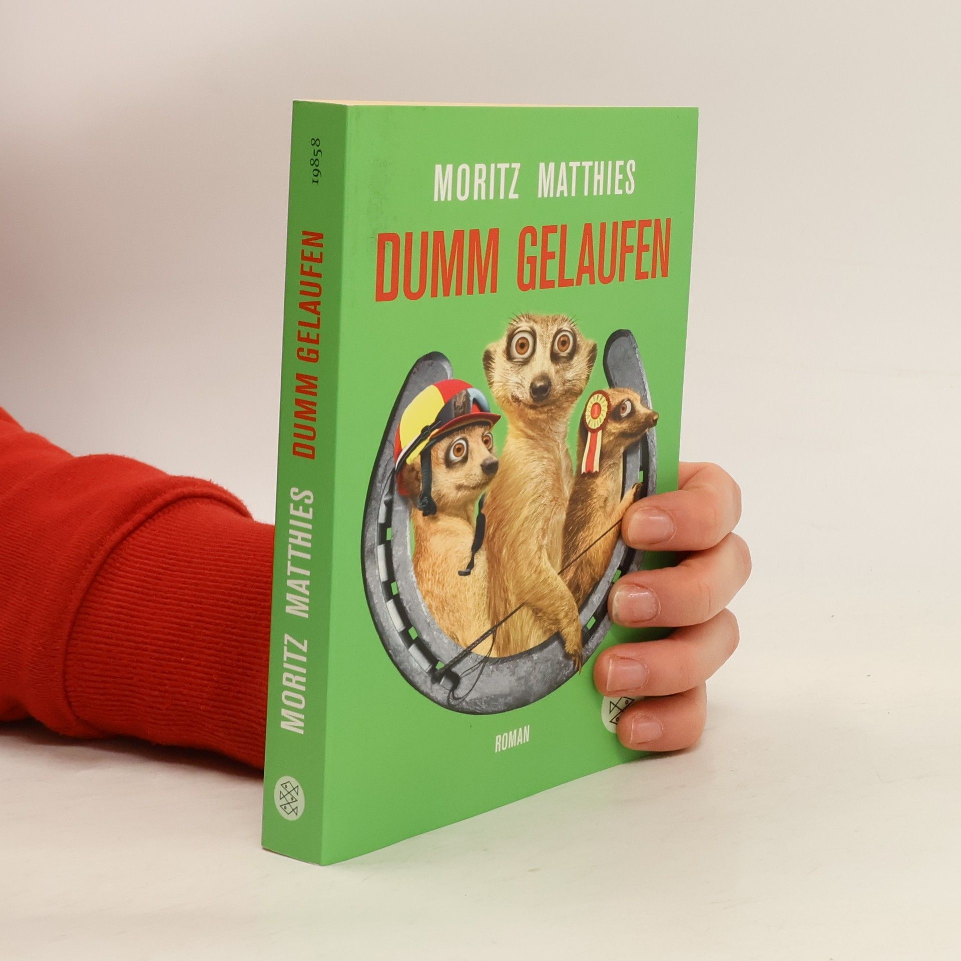 Moritz Matthies Dumm gelaufen