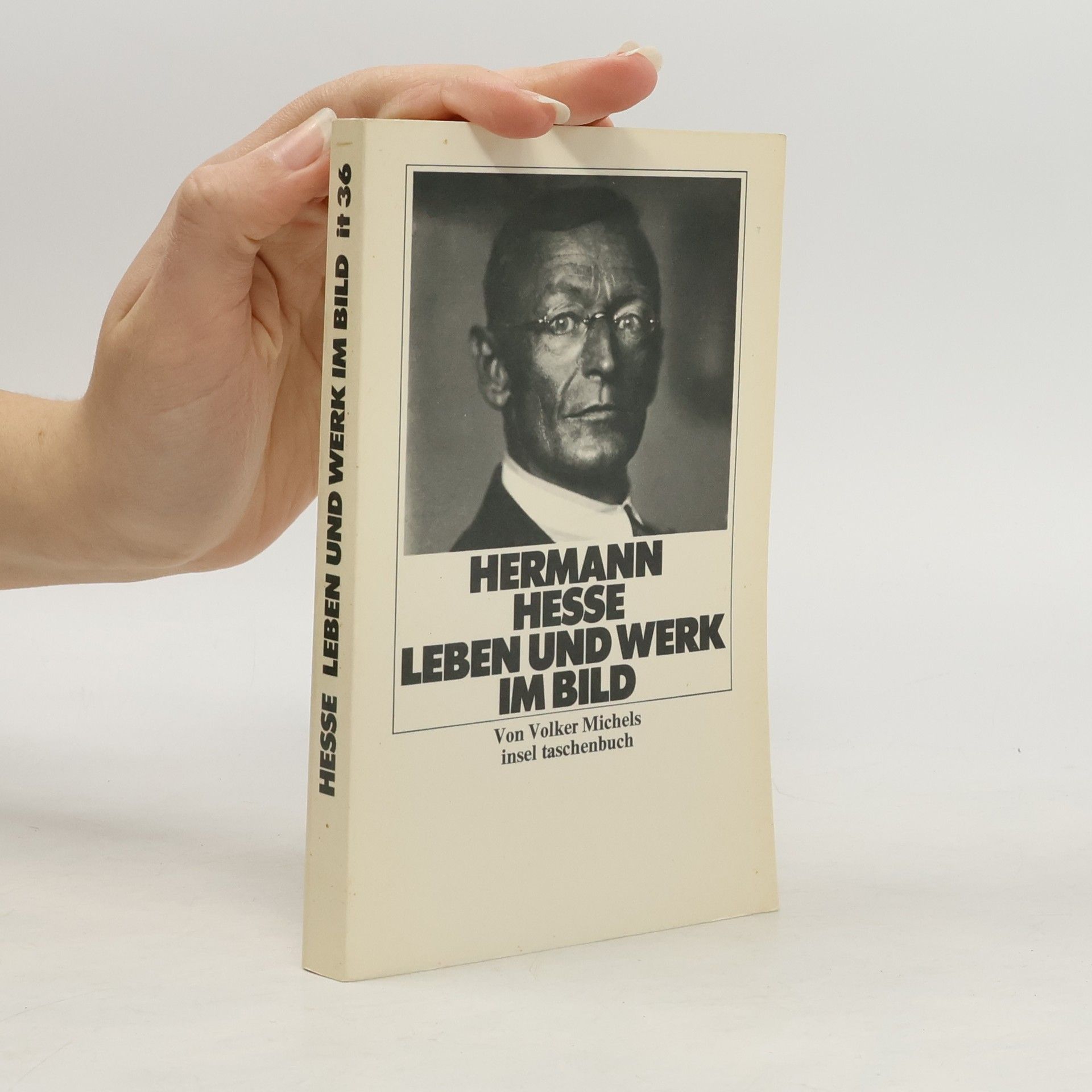 Volker Michels Hermann Hesse