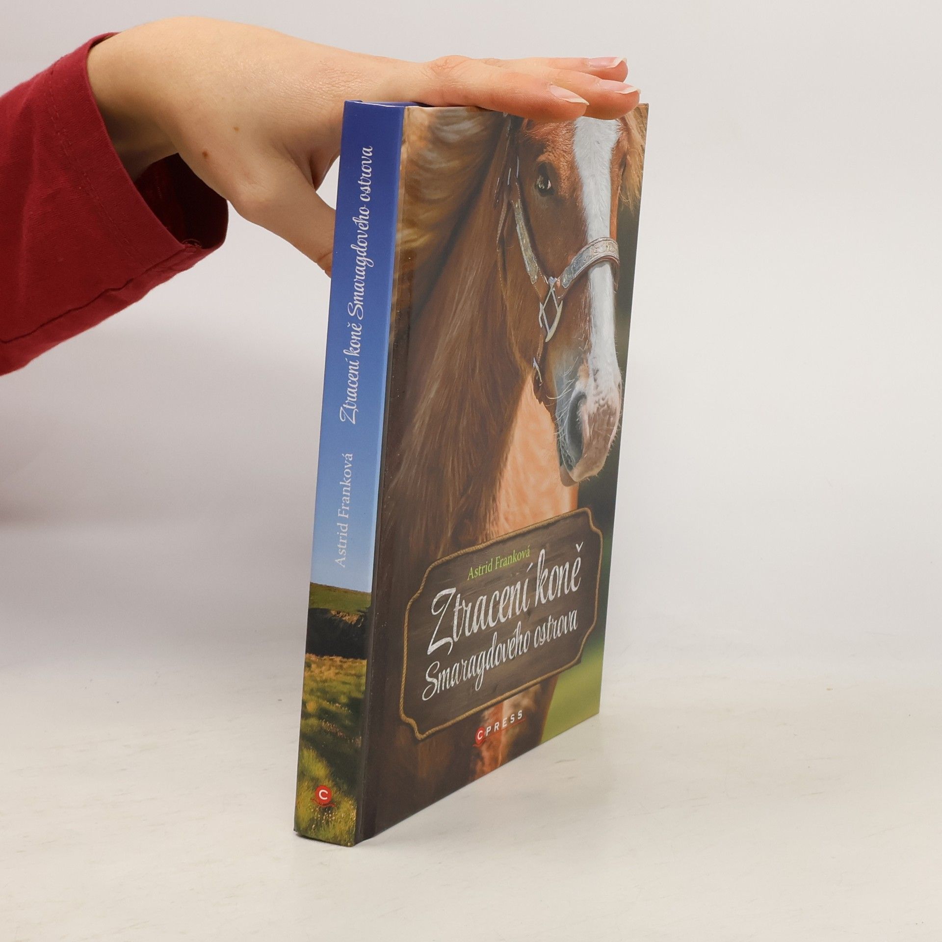 Astrid Frank Ztracení koně Smaragdového ostrova