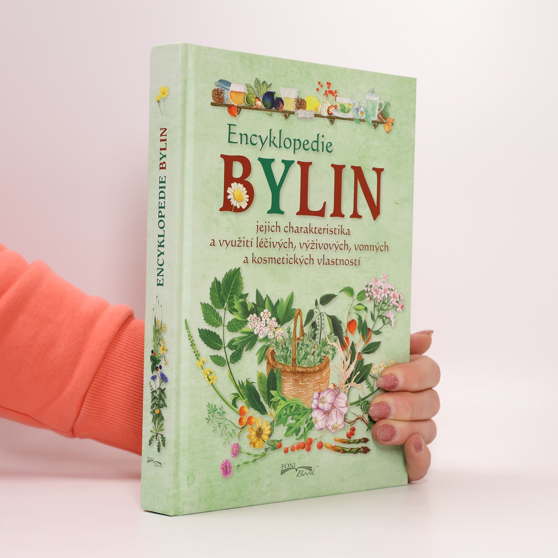 Autorenkollektiv Encyklopedie bylin