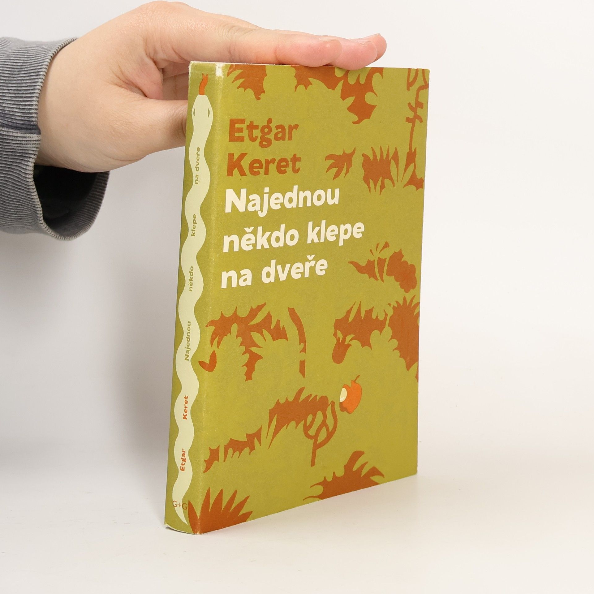 Etgar Keret Najednou někdo klepe na dveře