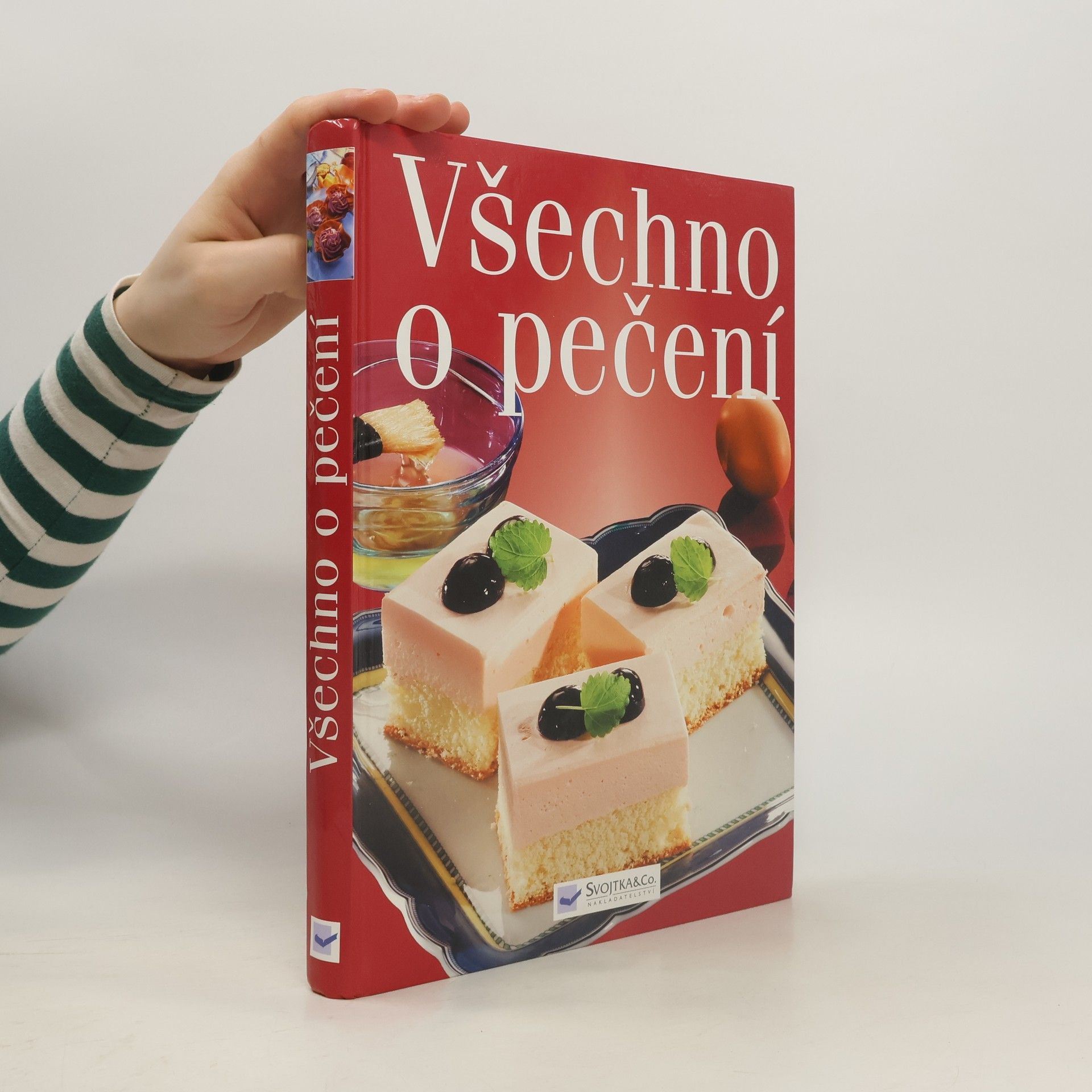 Collectif d'auteurs Všechno o pečení
