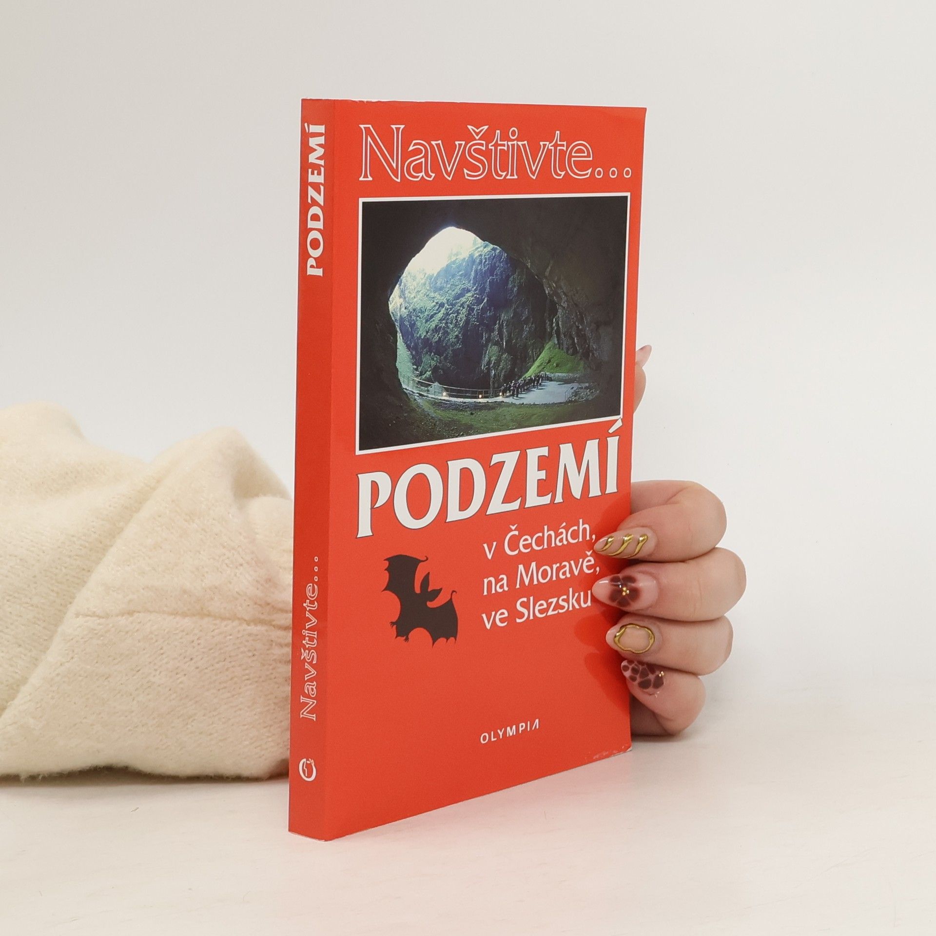 Jaroslav Hromas Podzemí v Čechách, na Moravě, ve Slezsku