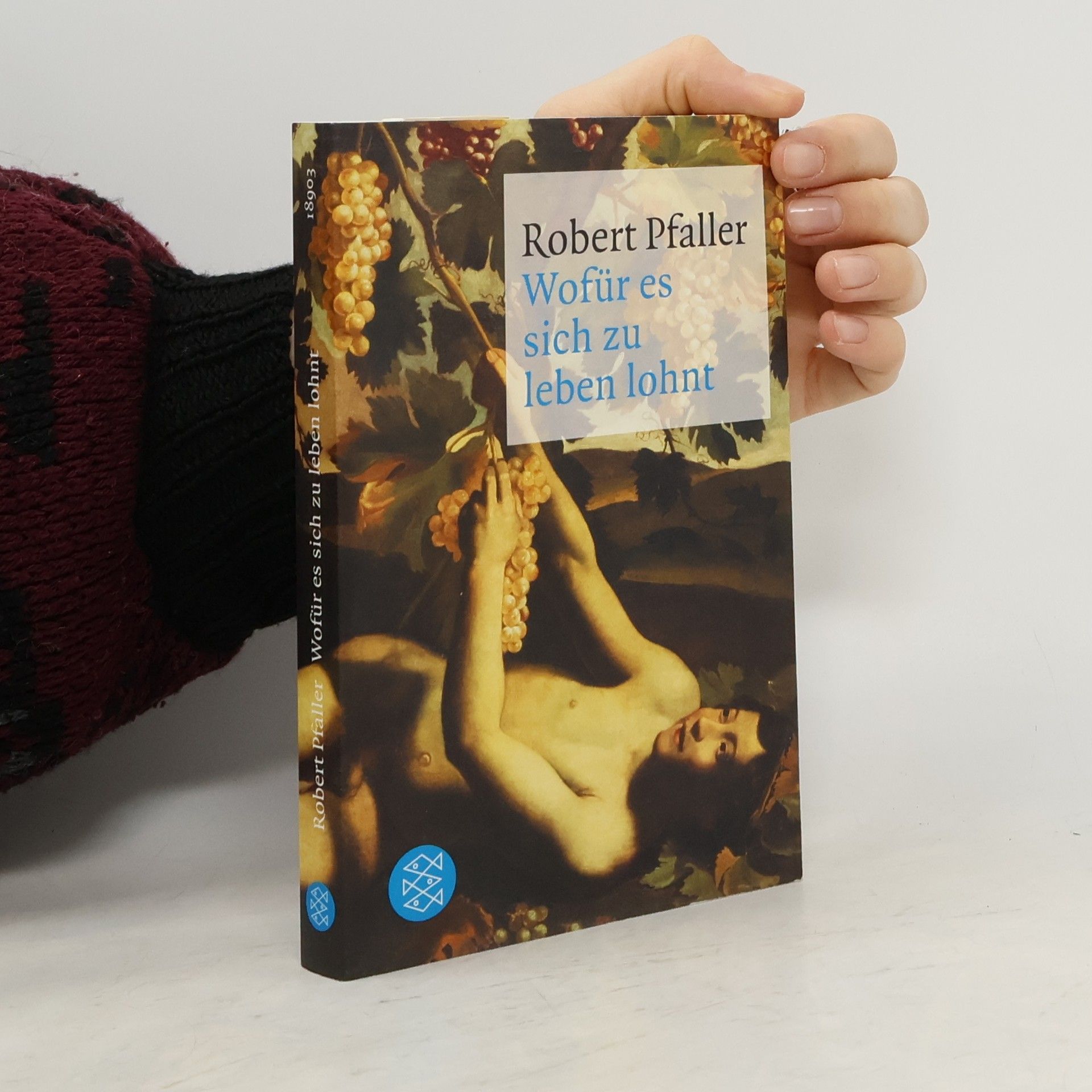 Robert Pfaller Wofür es sich zu leben lohnt