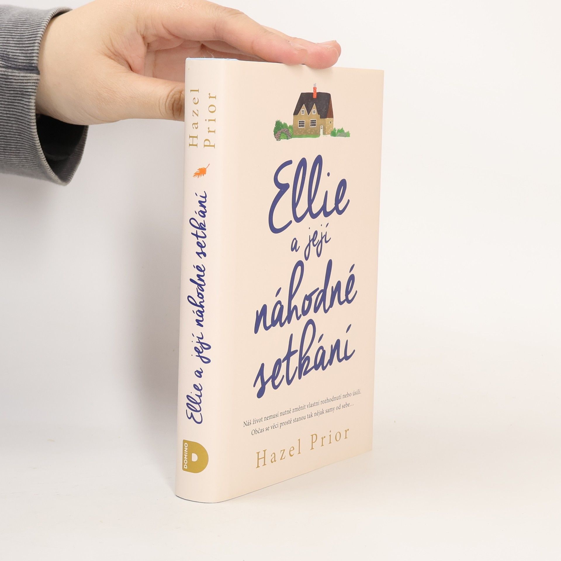 Ellie a její náhodné setkání