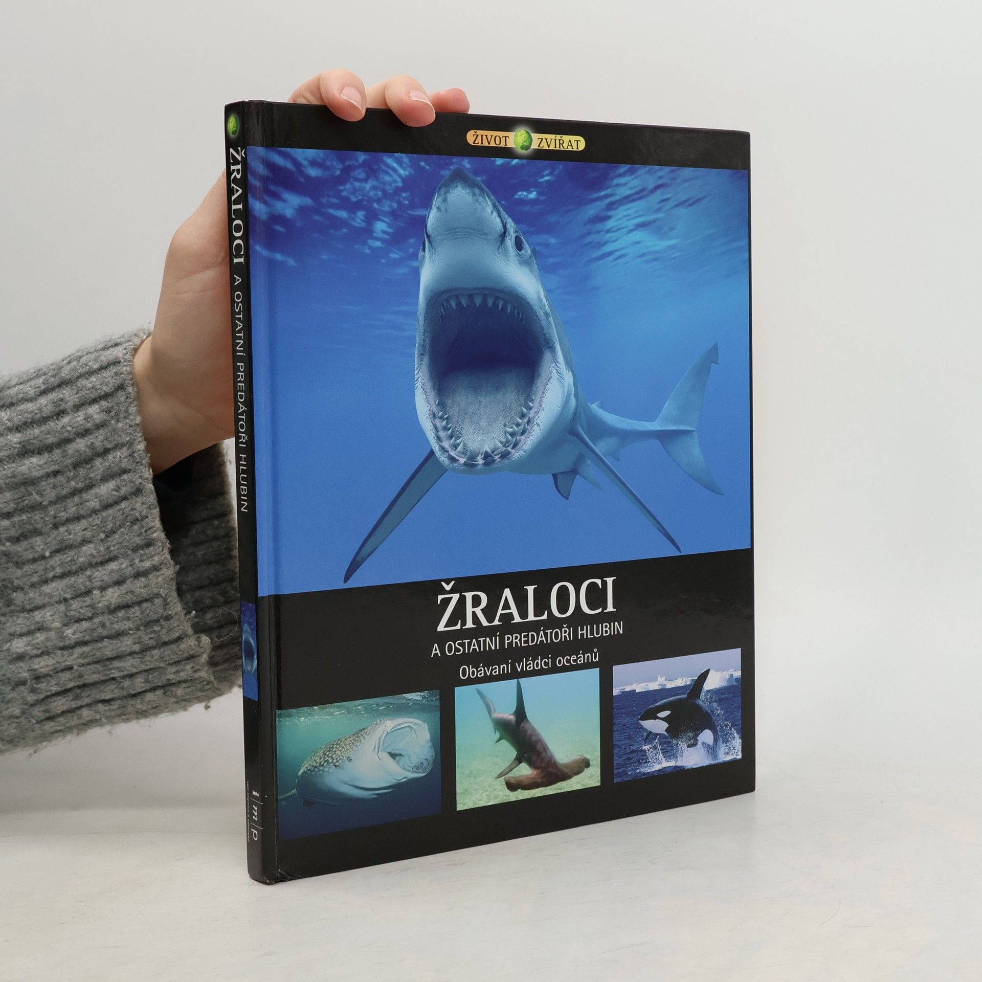 Michael Fokt Žraloci a ostatní predátoři hlubin