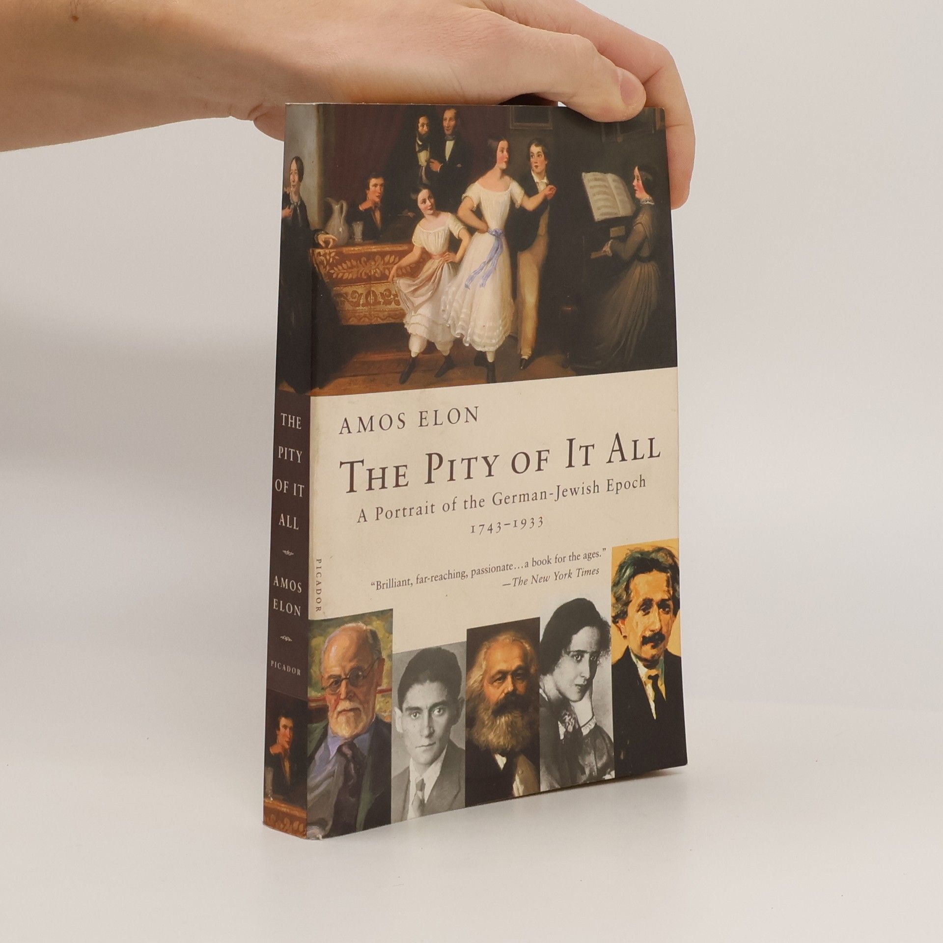 Amos Elon The Pity of It All