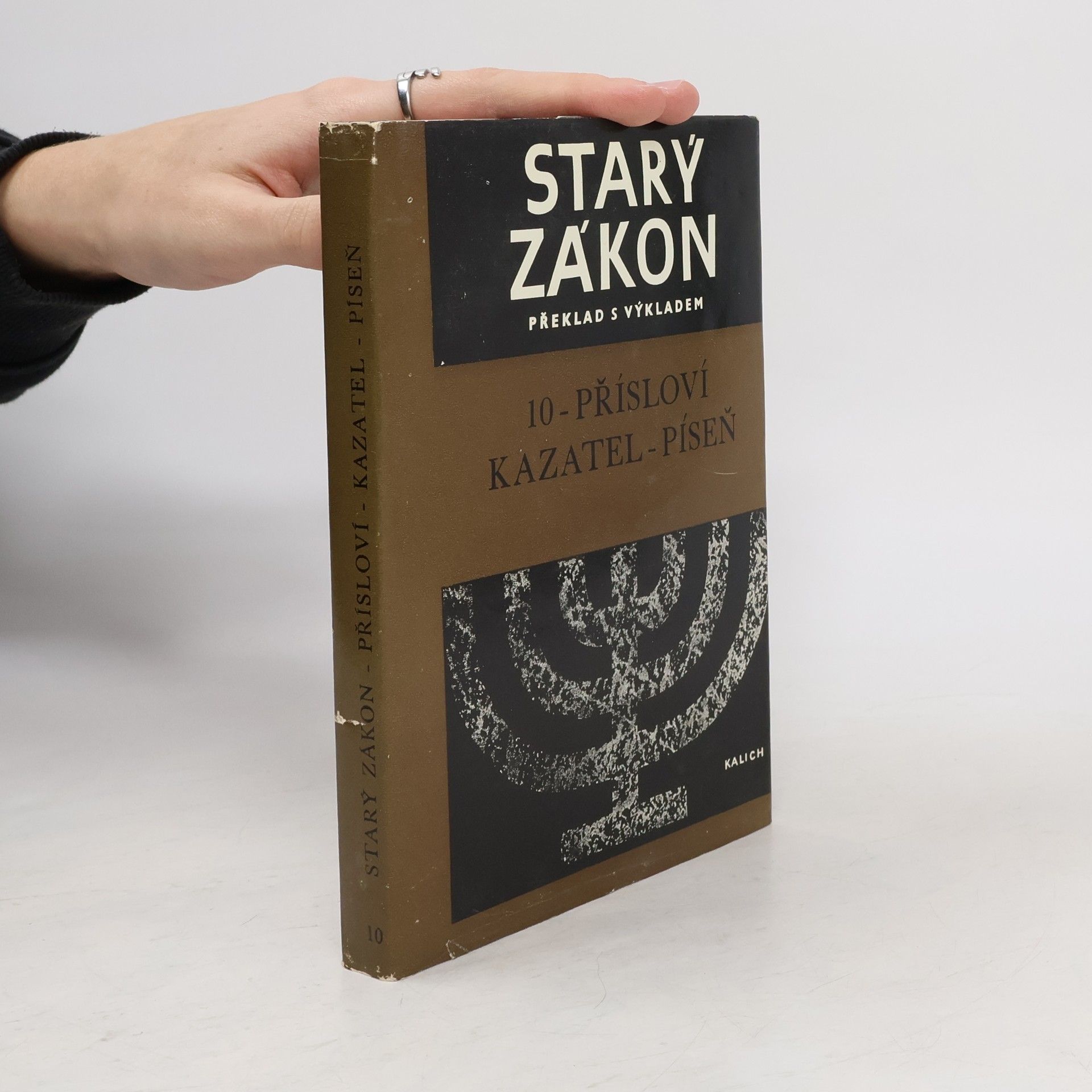 Kolektiv autorů Starý zákon překlad s výkladem 10. Přísloví. Kazatel. Píseň.