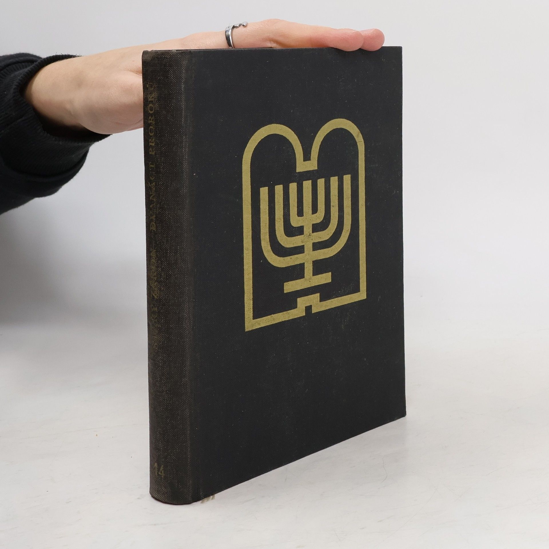 Autorenkollektiv Starý zákon. Překlad s výkladem 14. Dvanáct proroků