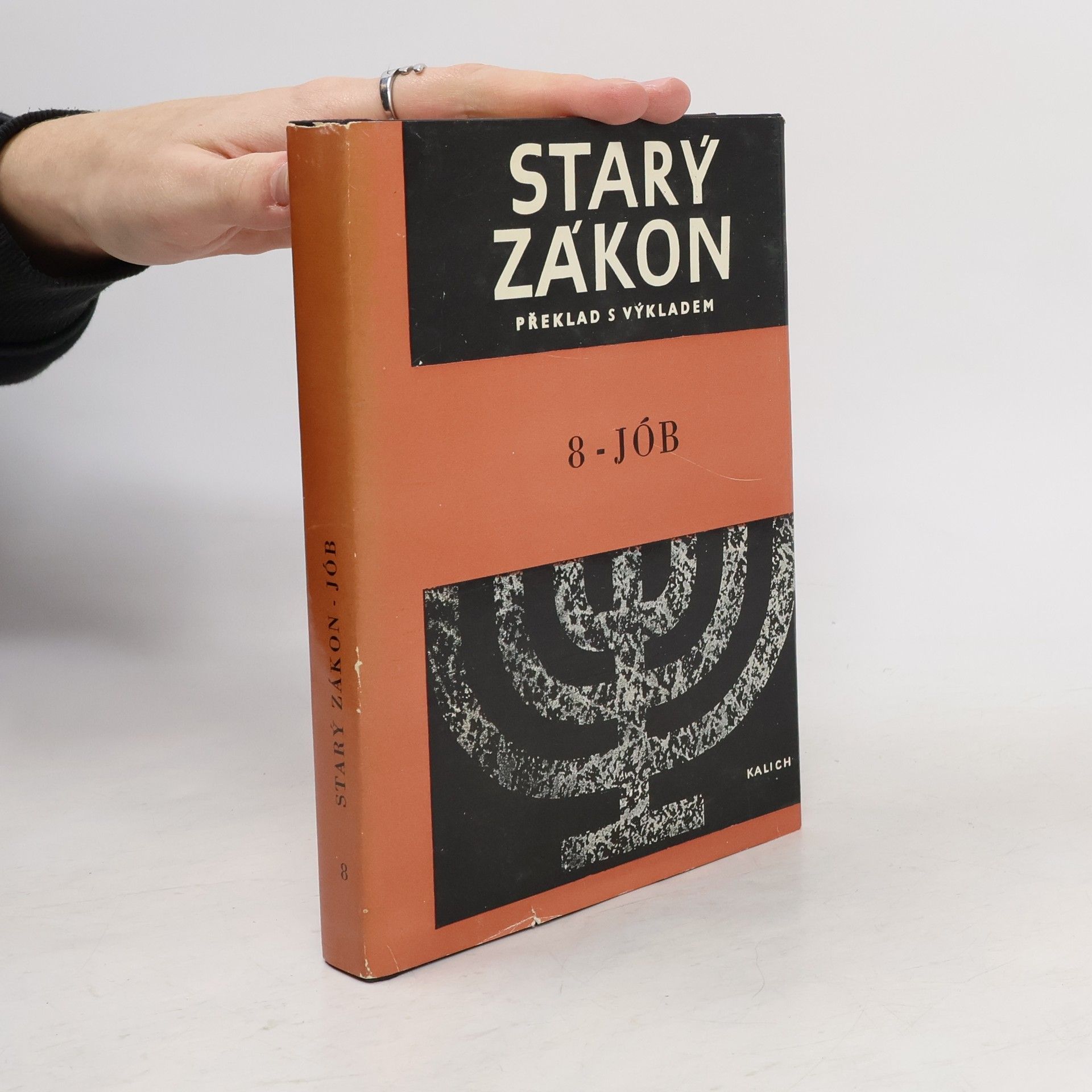 Kolektiv autorů Starý zákon 8. Jób