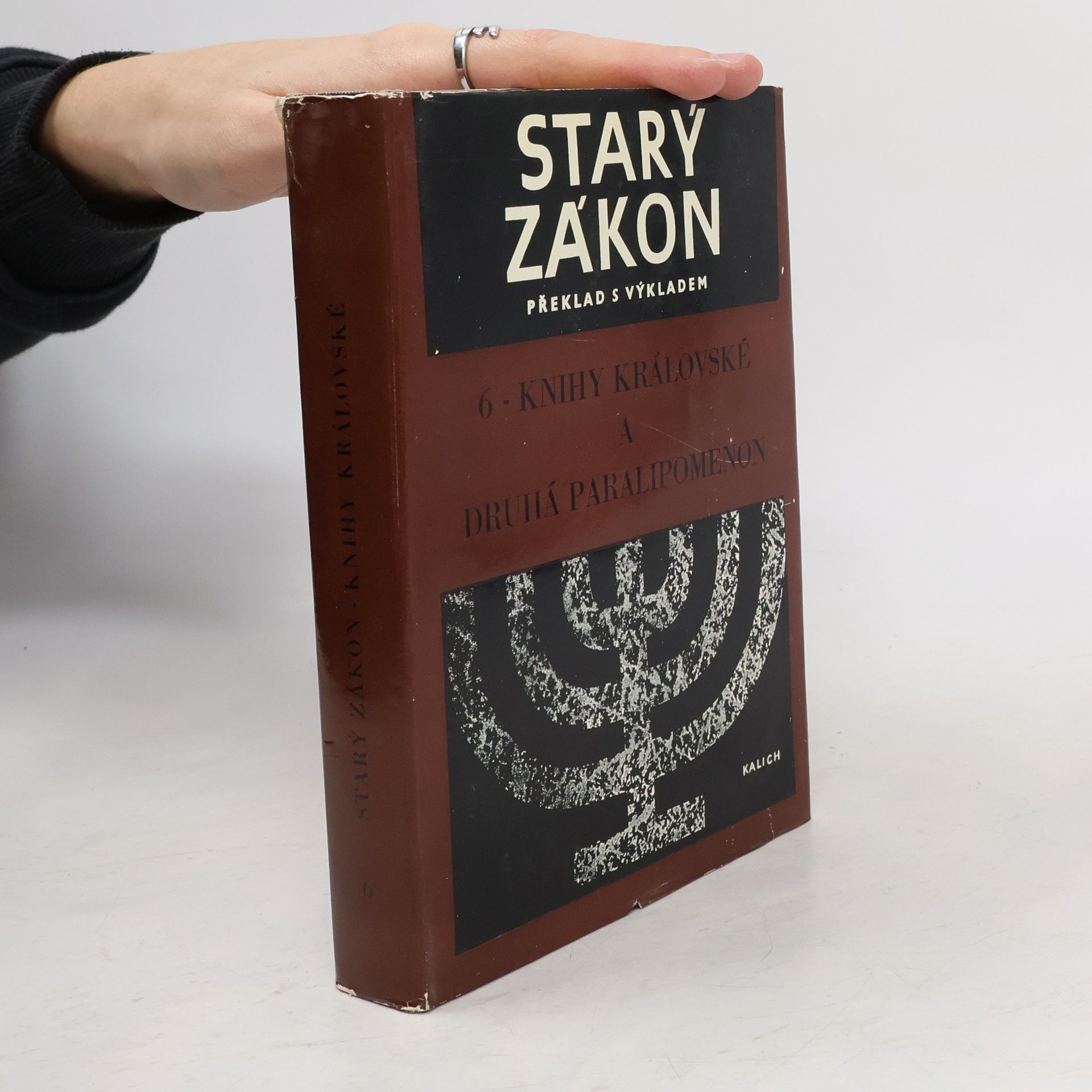 Kolektiv autorů Starý zákon 6. Knihy královské a druhá Paralipomenon