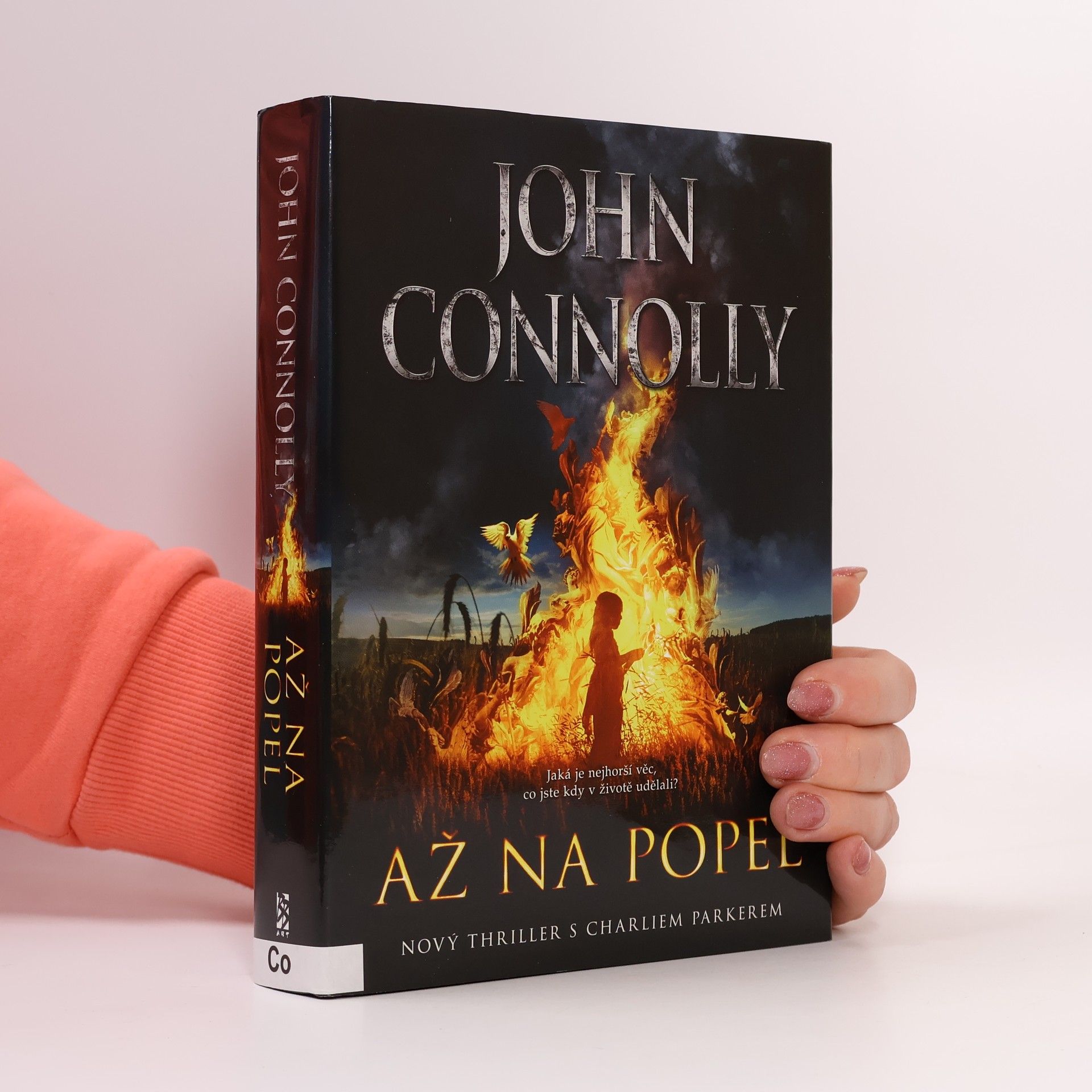 John Connolly Až na popel