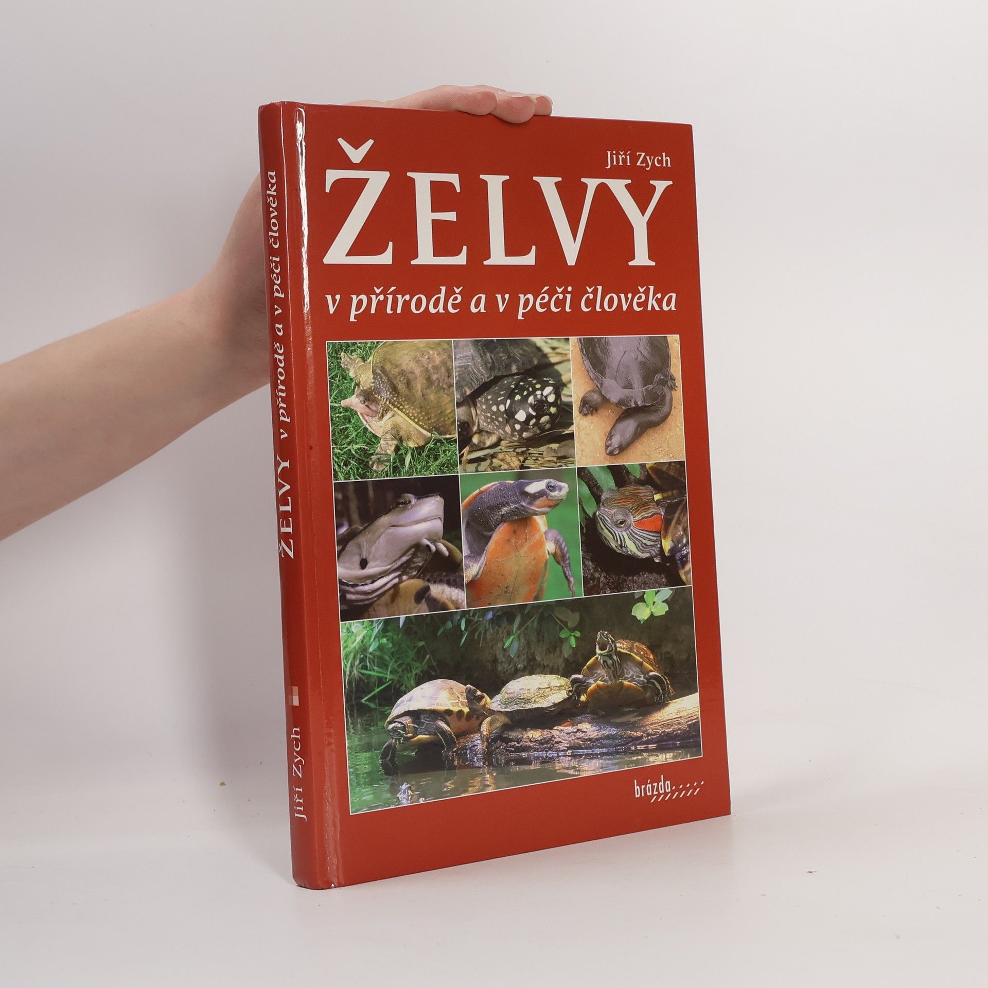 Jiří Zych Želvy v přírodě a v péči člověka