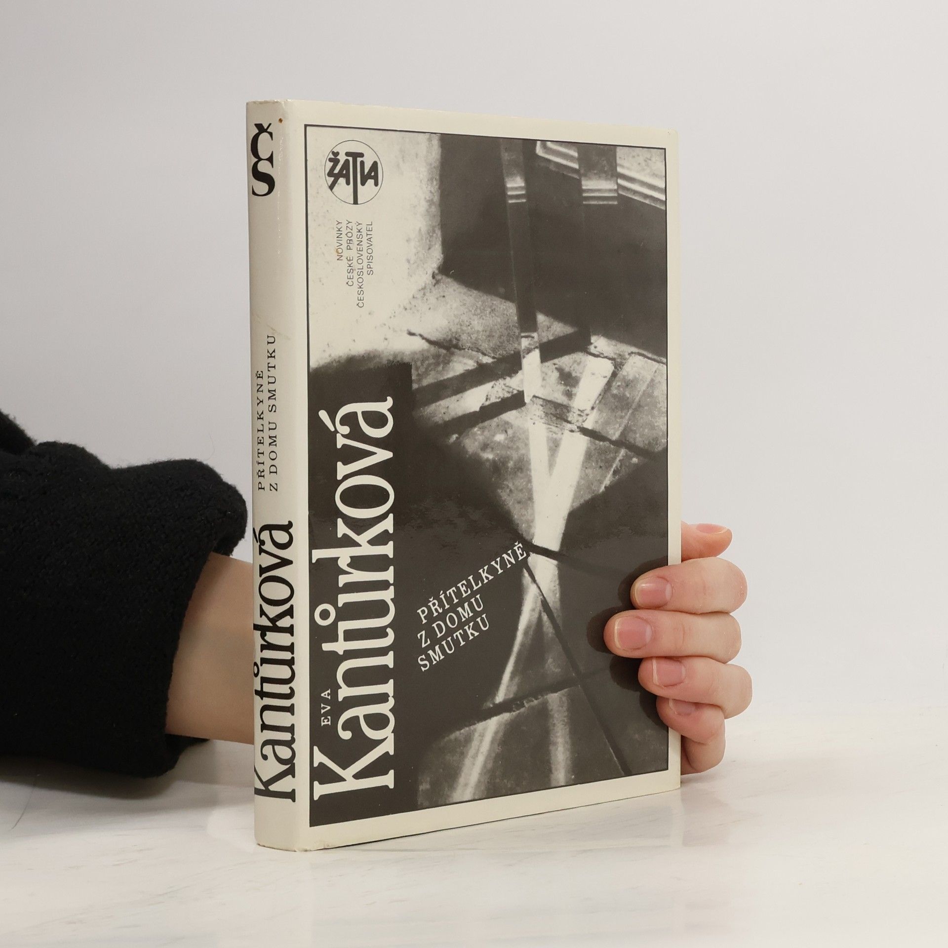 Eva Kantůrková Přítelkyně z domu smutku