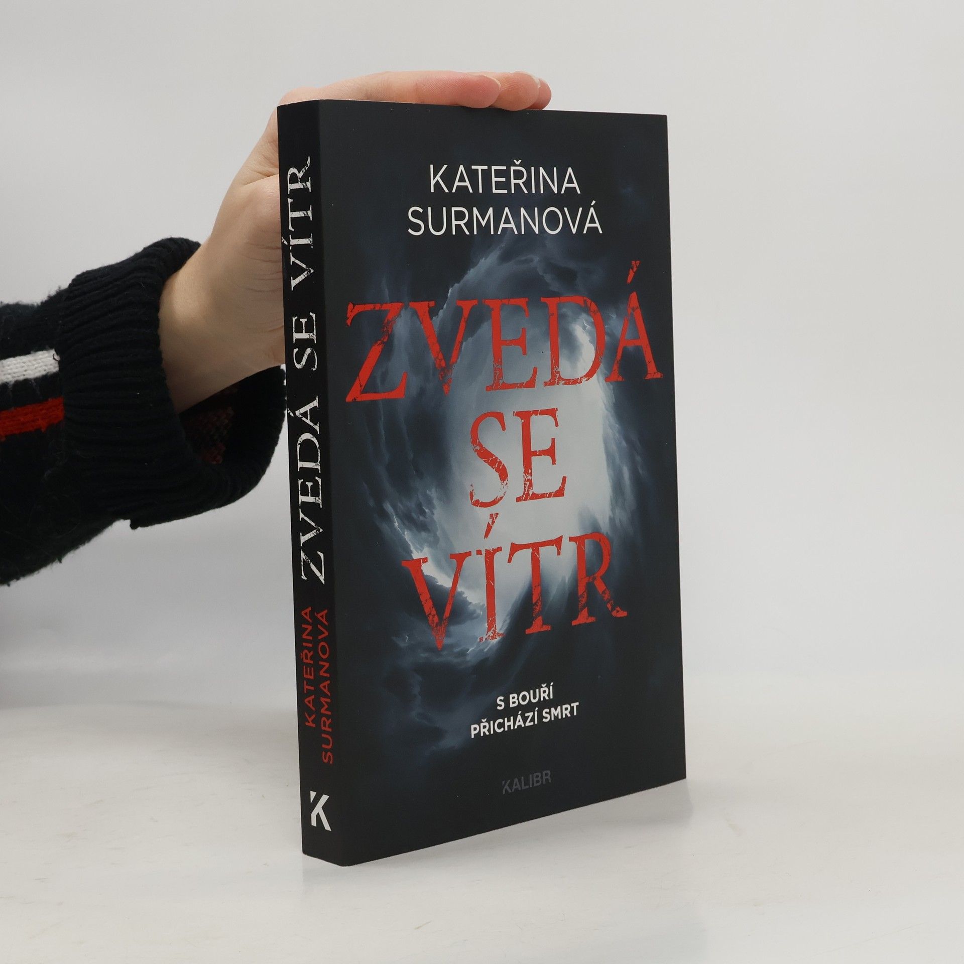 Kateřina Surmanová Zvedá se vítr