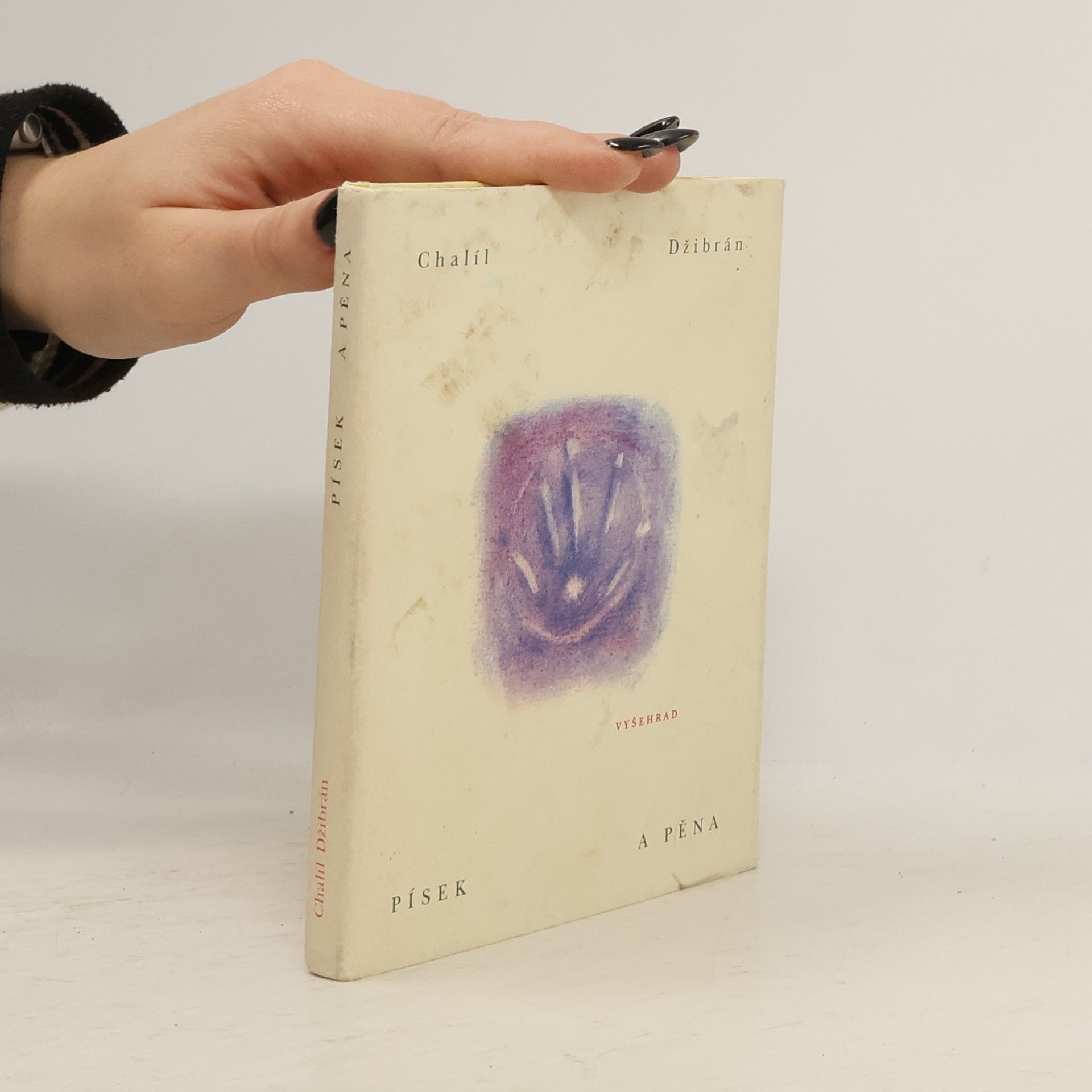 Chalíl Džibrán Písek a pěna