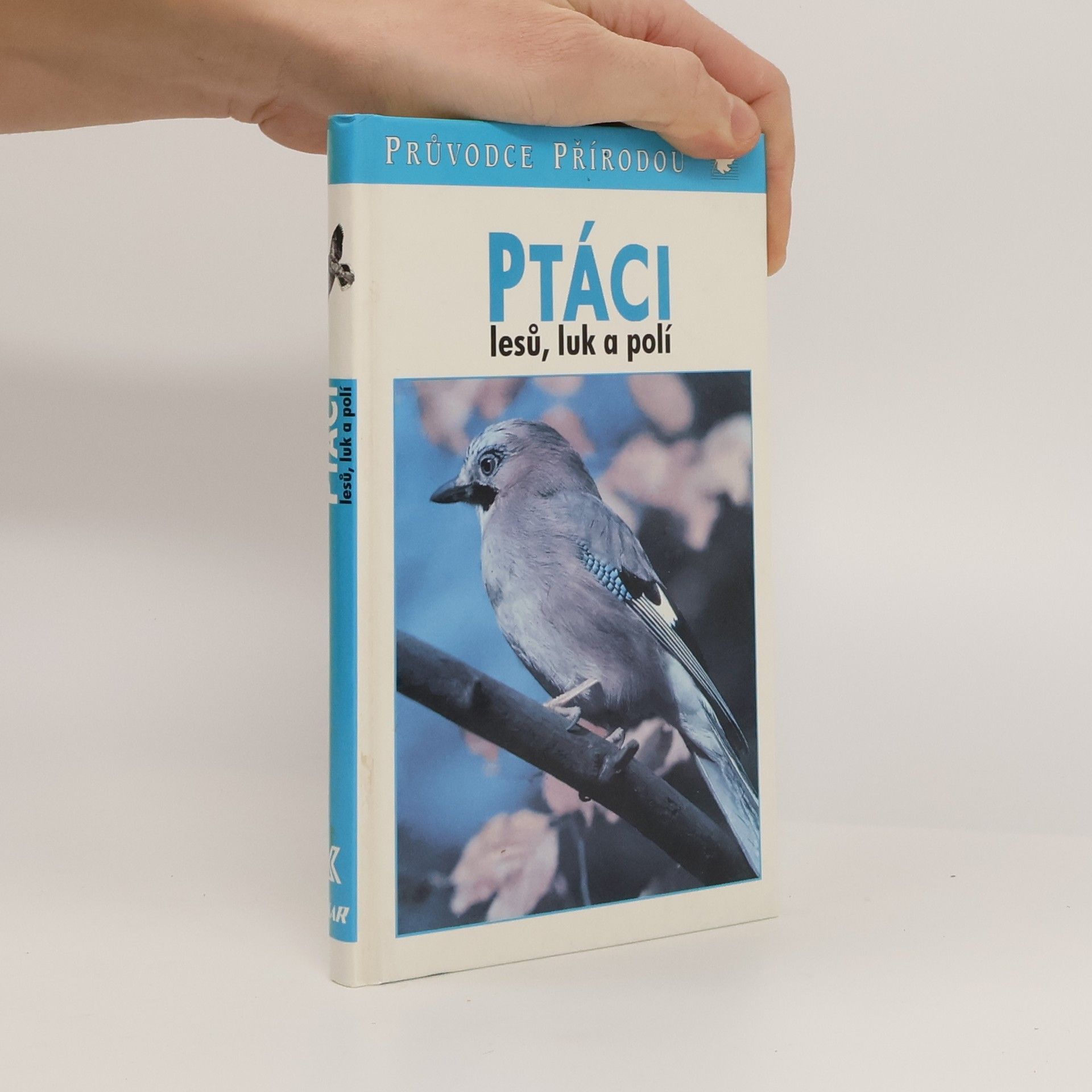 Friedhelm Sauer Ptáci lesů, luk a polí