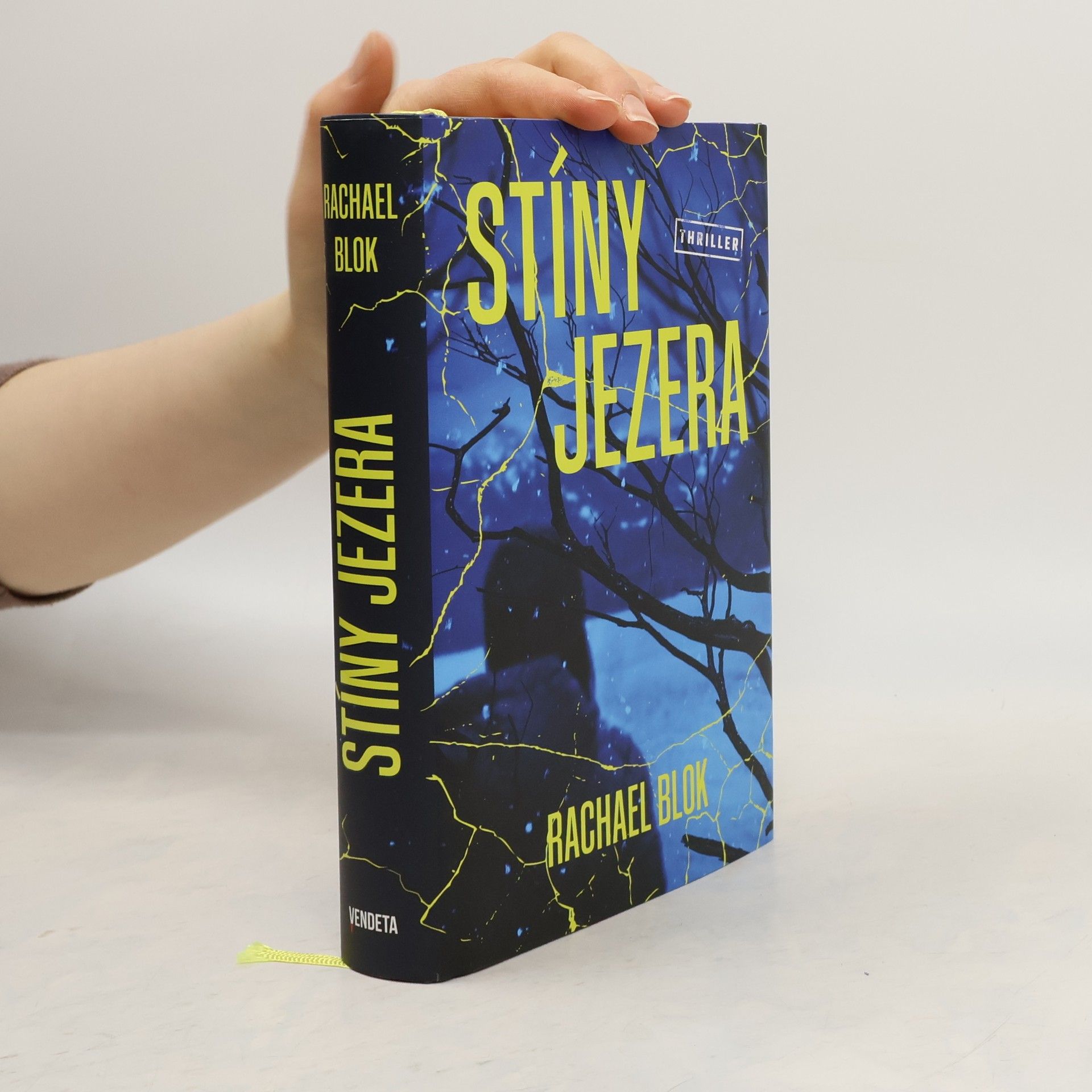 Rachael Blok Stíny jezera