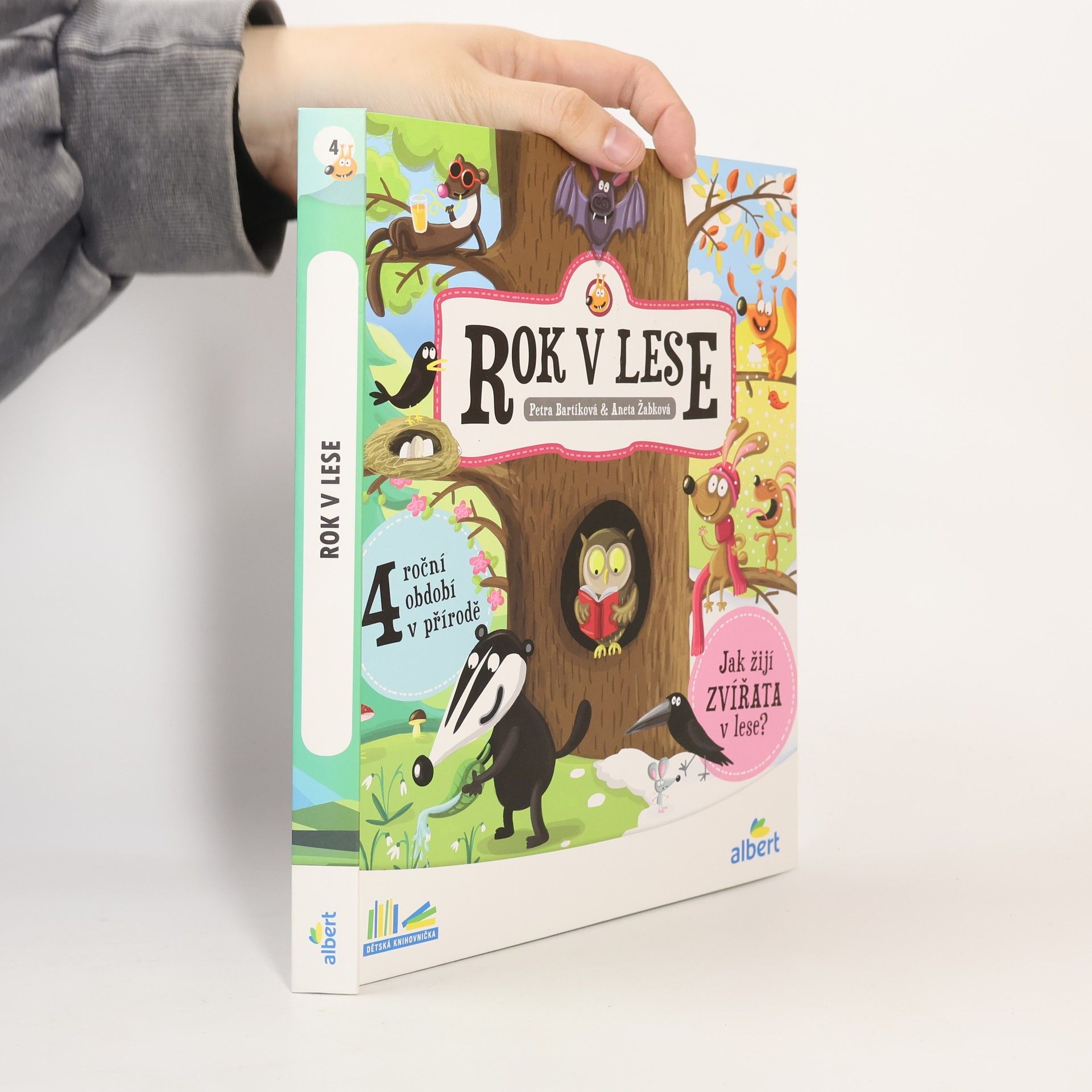 Kolektiv autorů Rok v lese