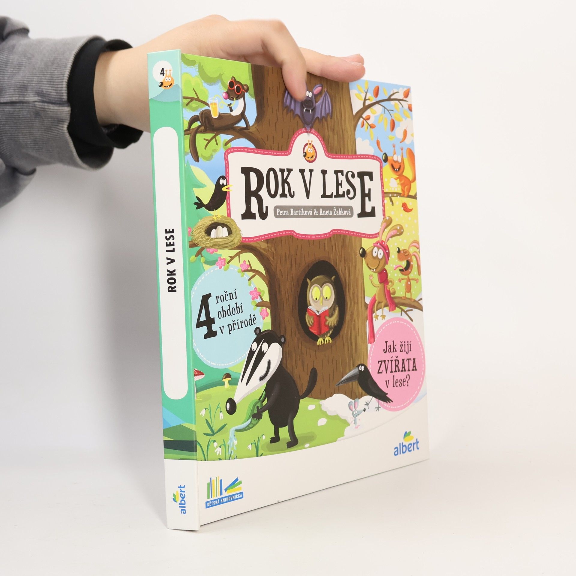 Kolektiv autorů Rok v lese