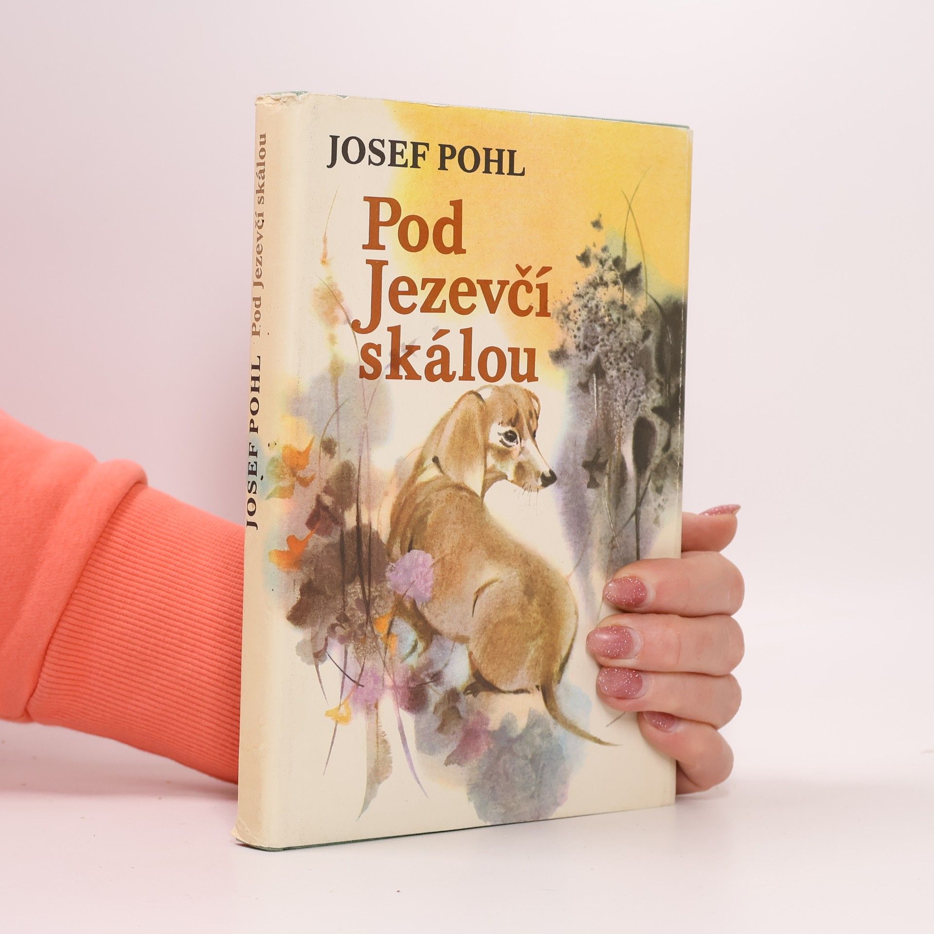 Pod Jezevčí skálou