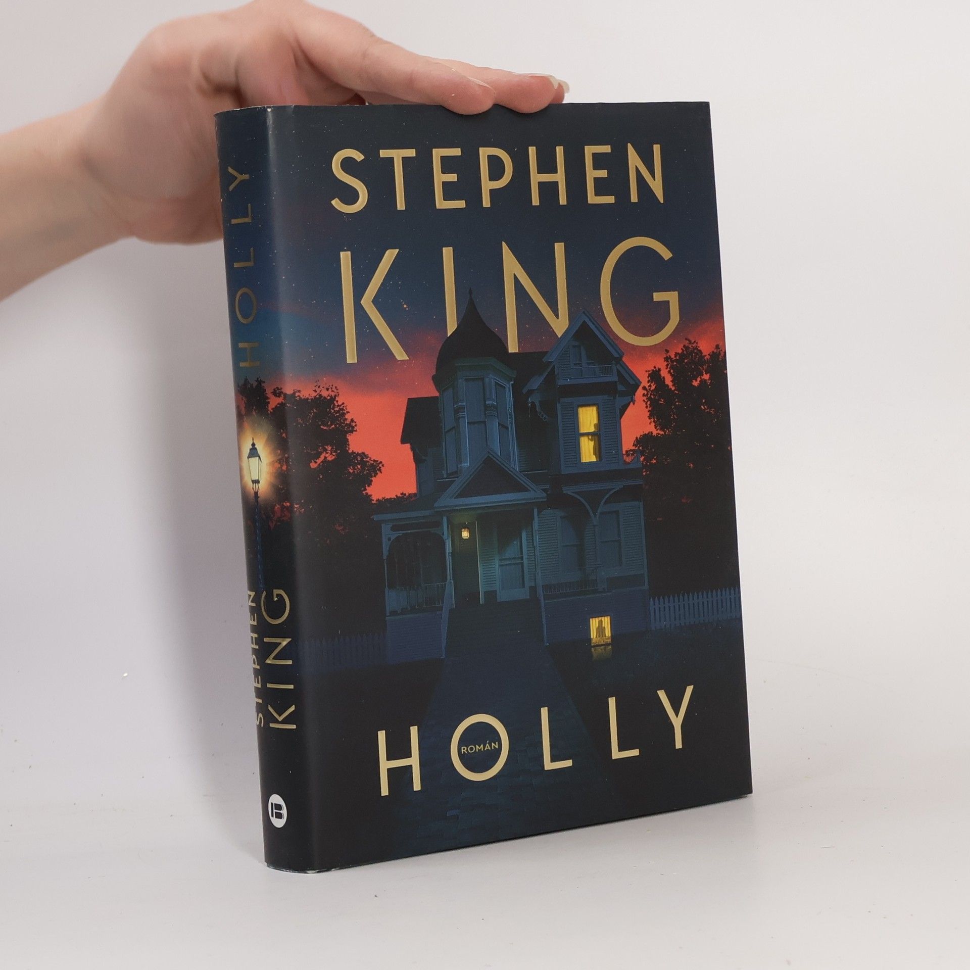 Stephen King Holly