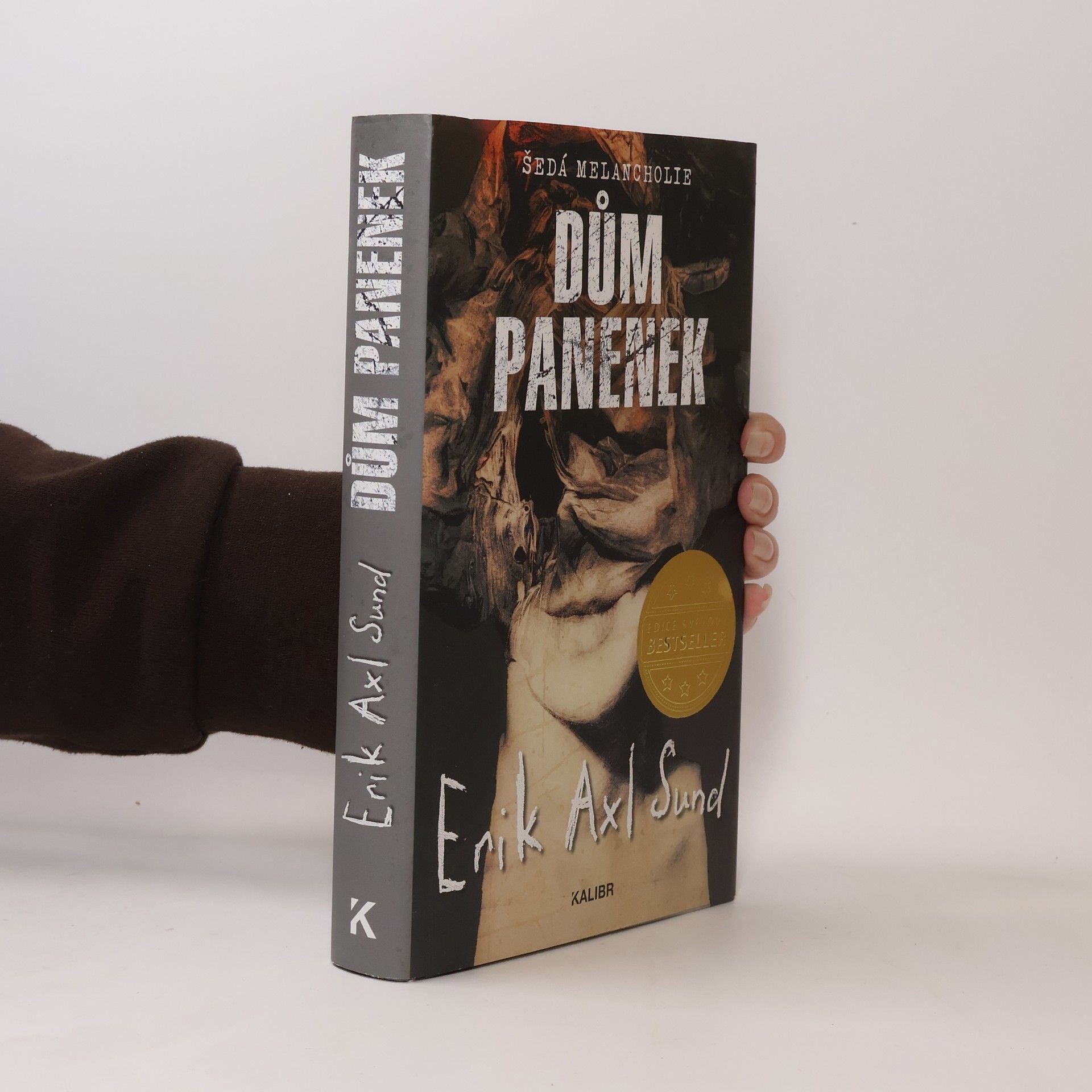 Erik Axl Sund Dům panenek