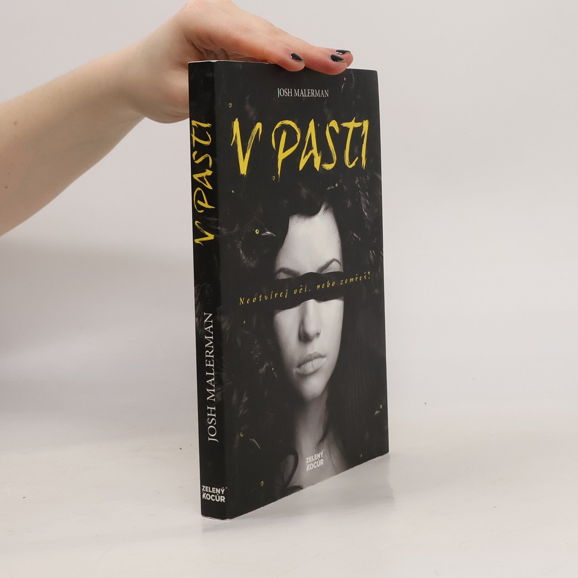 Josh Malerman V pasti