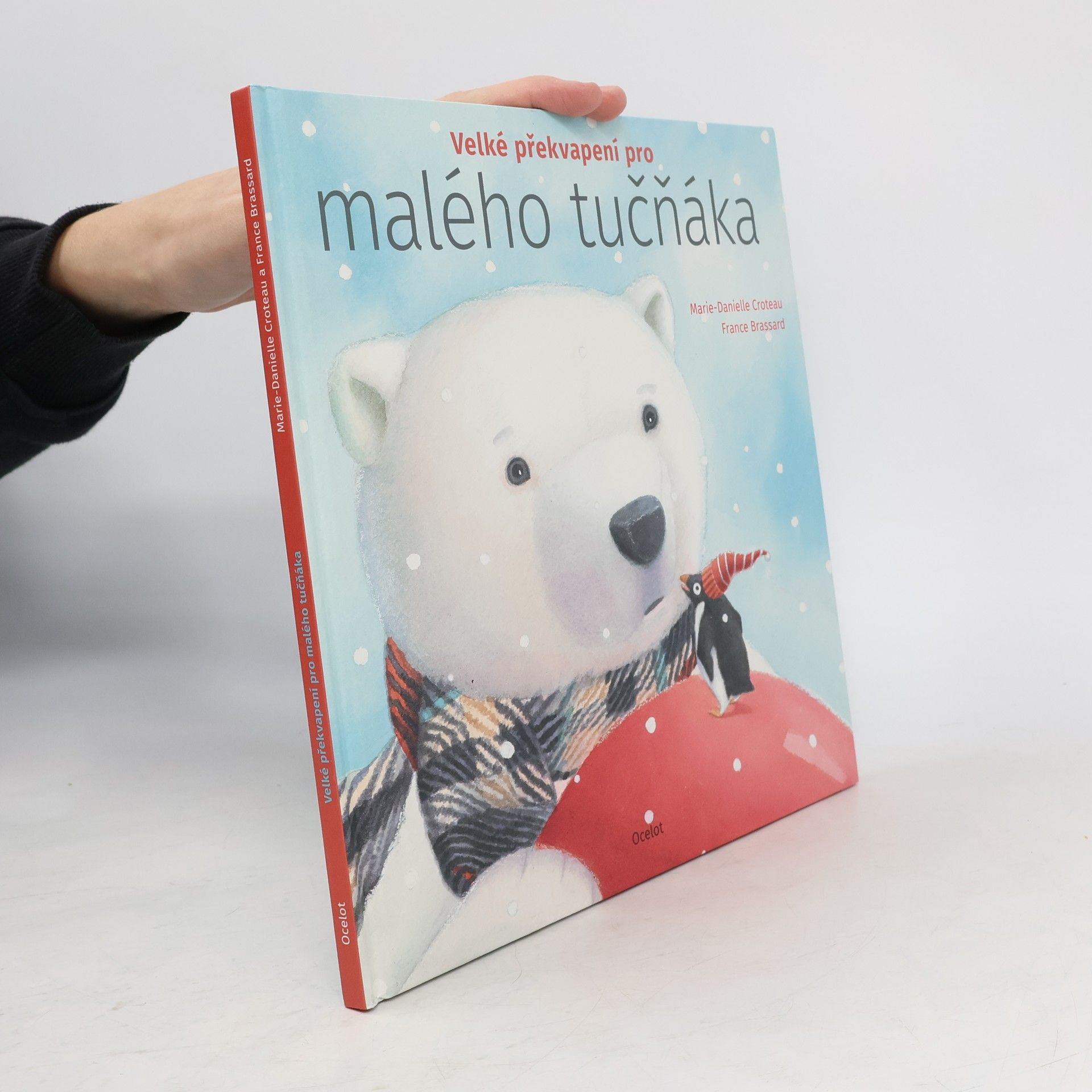 Velké překvapení pro malého tučňáka