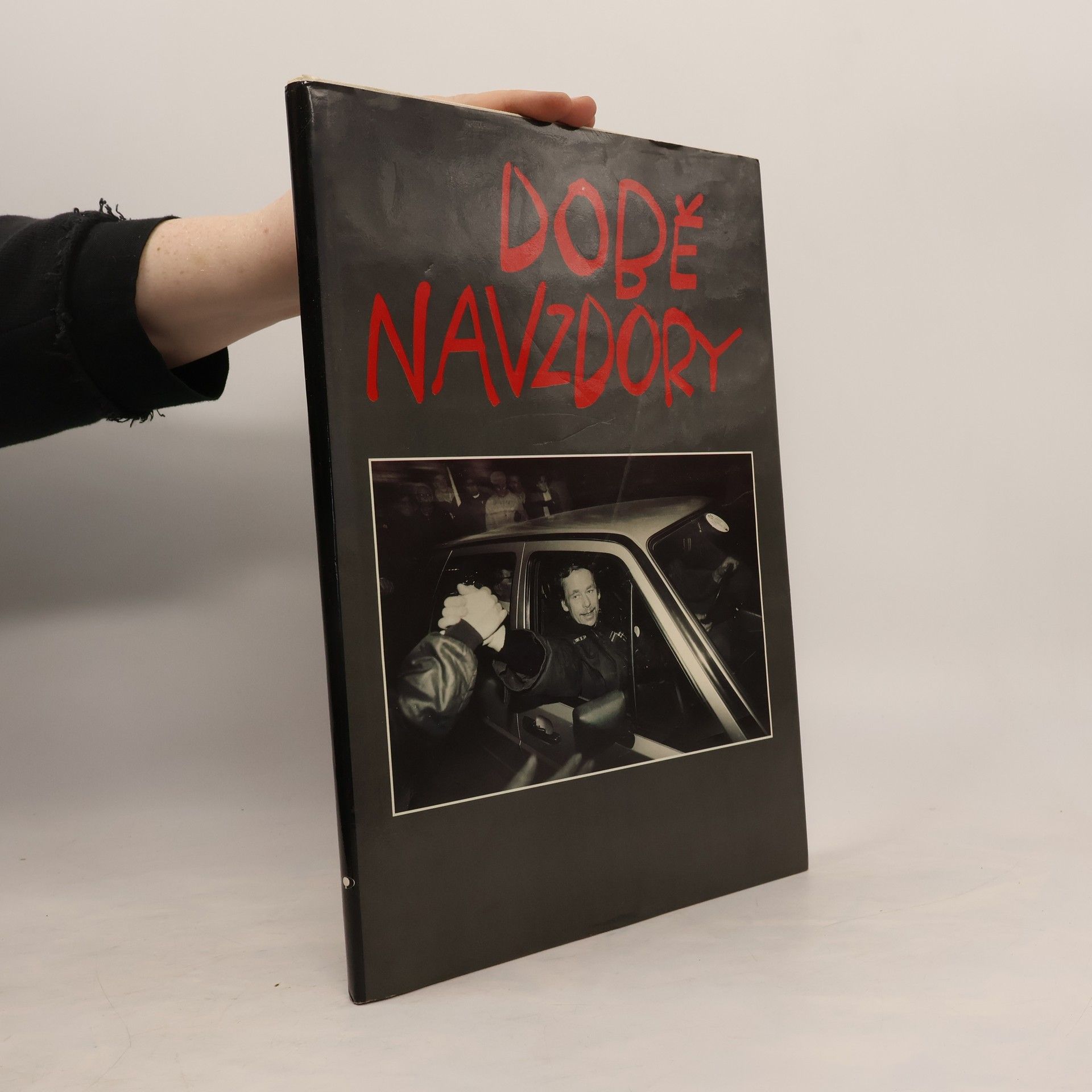 Jiří Matějka Době navzdory