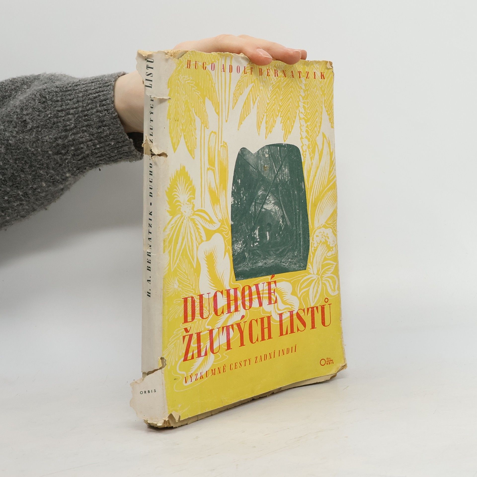 Hugo Adolf Bernatzik Duchové žlutých listů