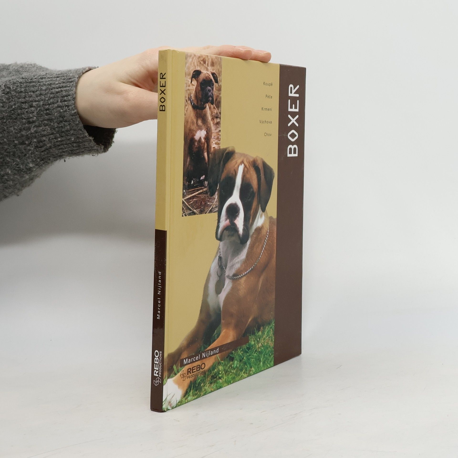 Marcel Nijland Boxer