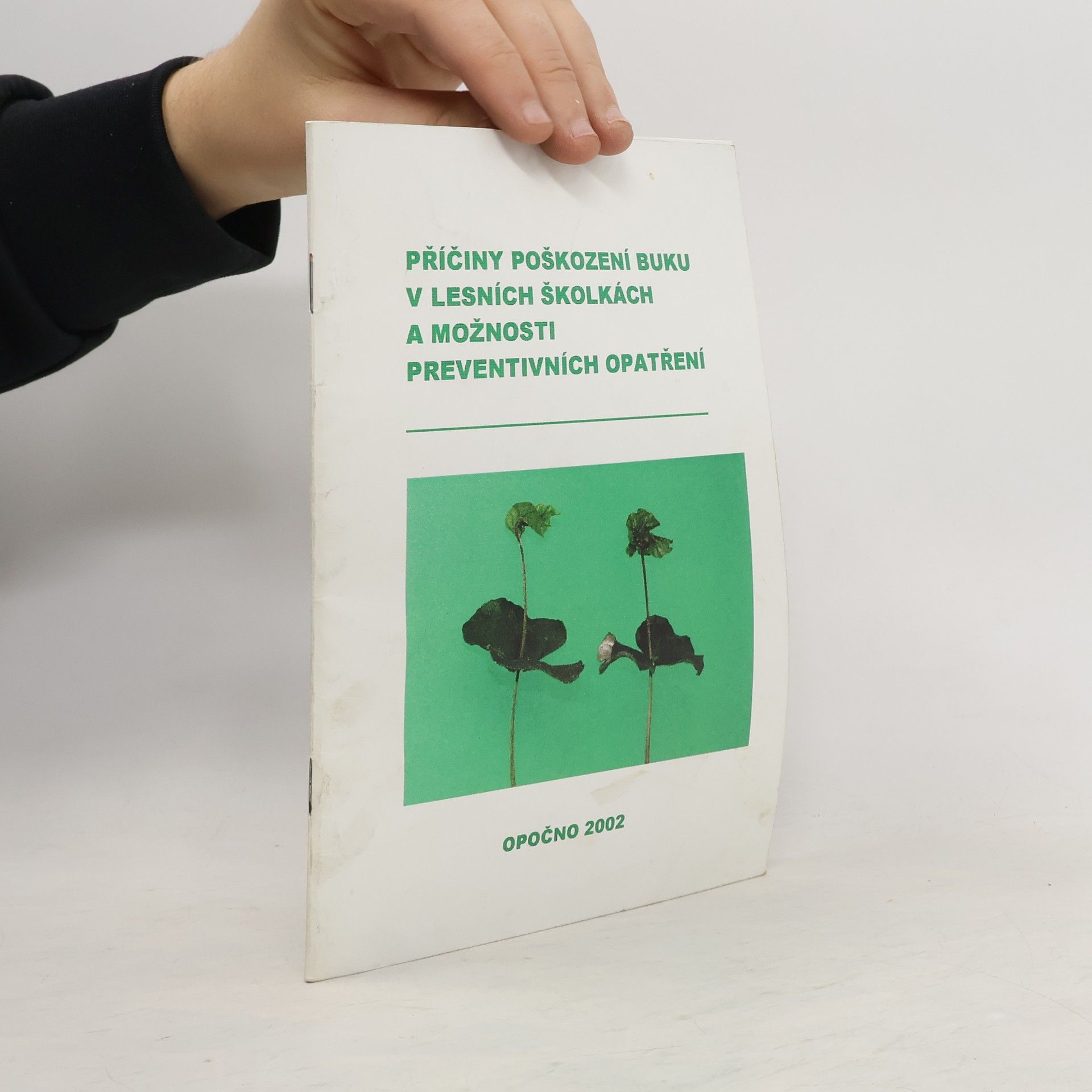 Autorenkollektiv Příčiny poškození buku v lesních školkách a možnosti preventivních opatření